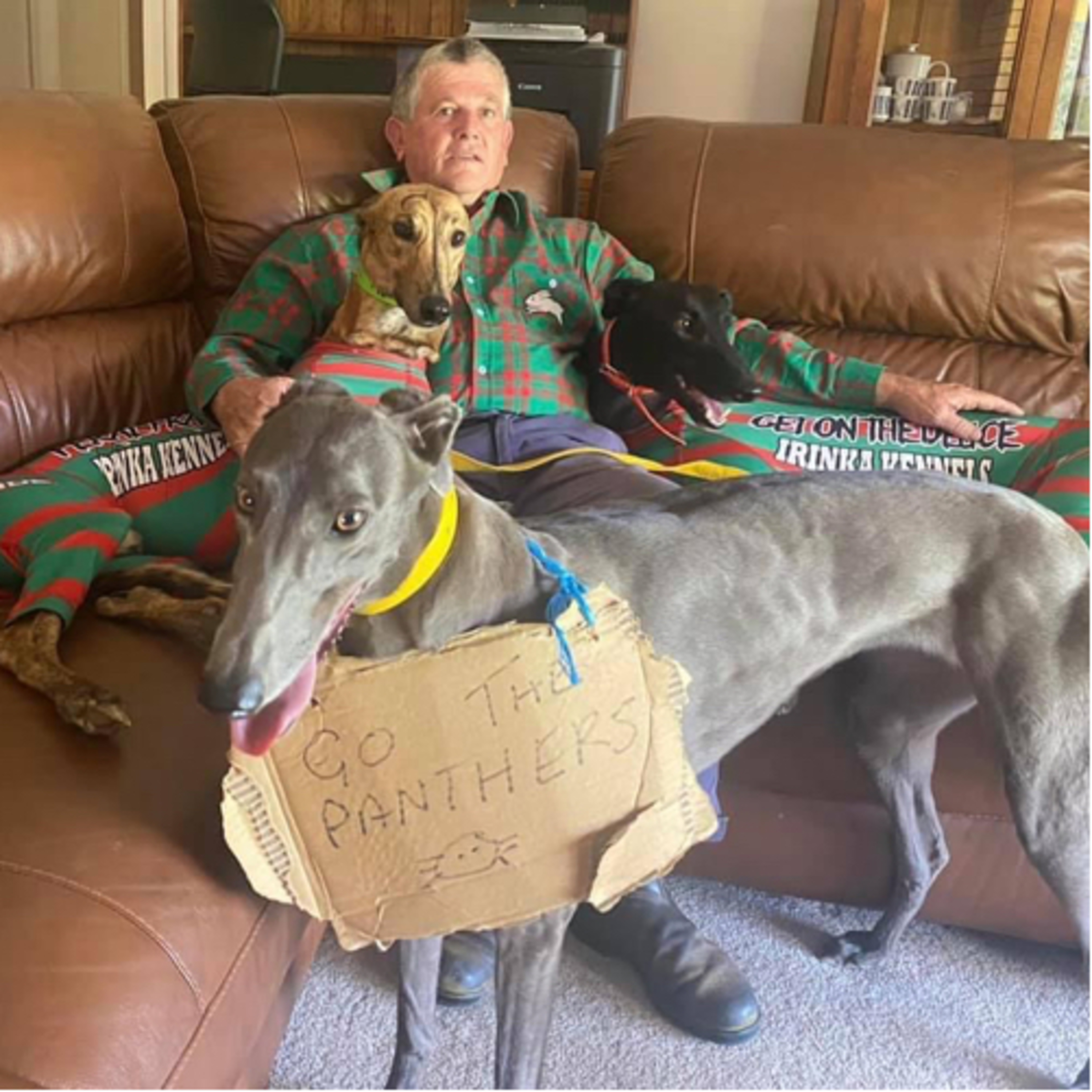 The Greyhound Girl