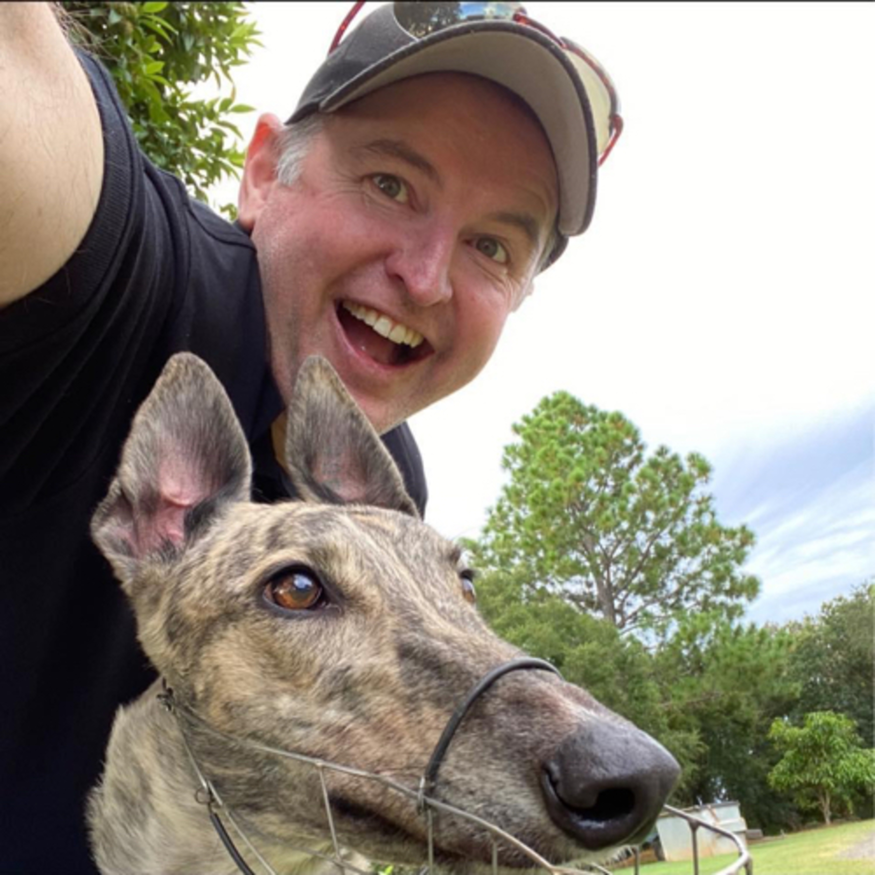 The Greyhound Girl