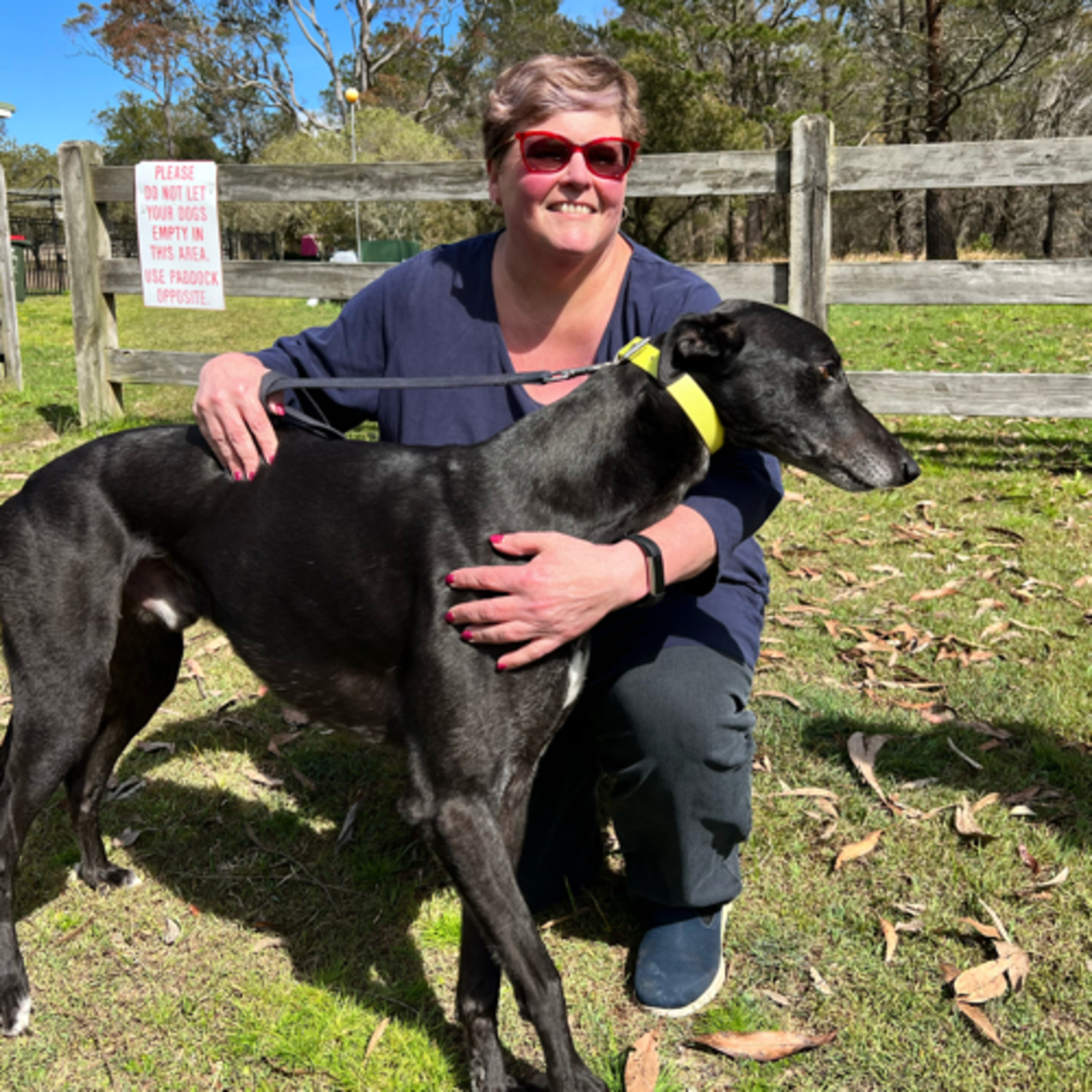 The Greyhound Girl