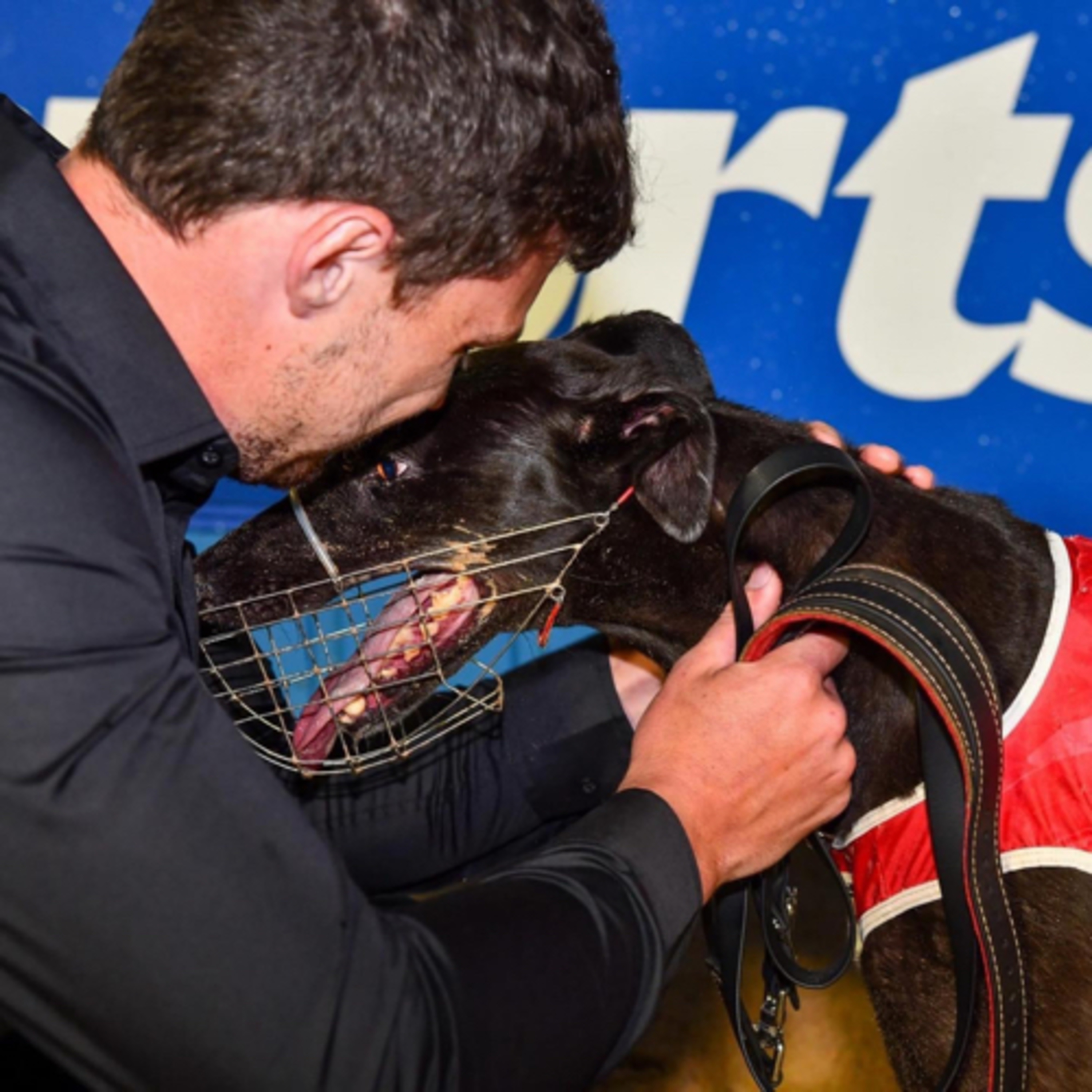 The Greyhound Girl