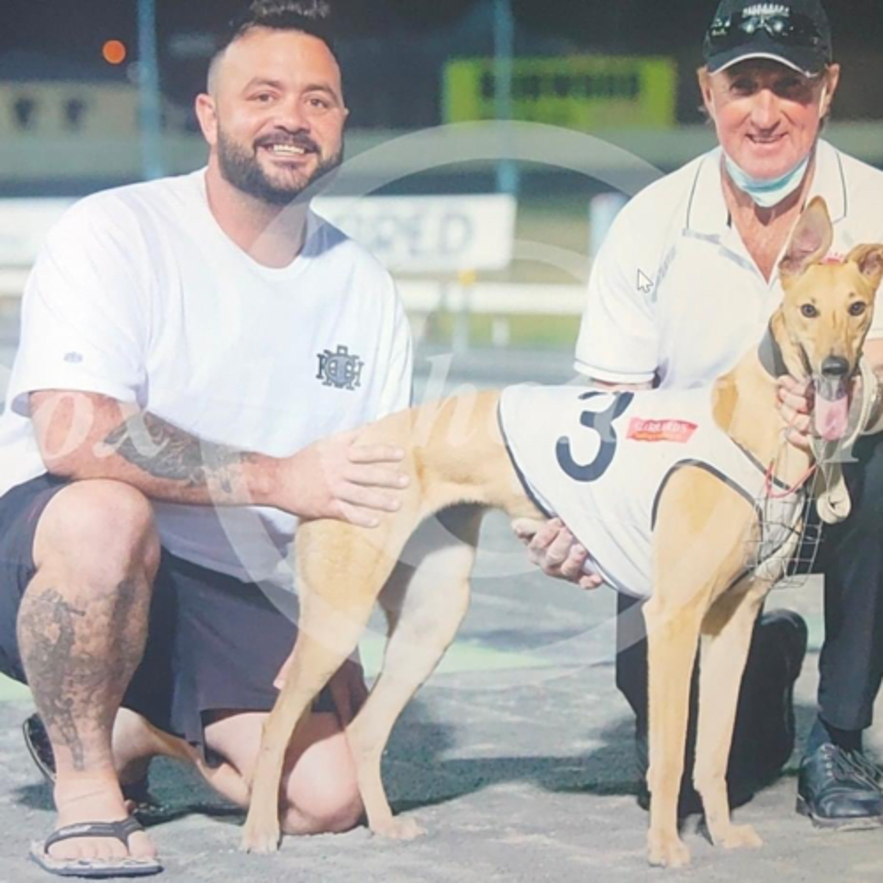 The Greyhound Girl