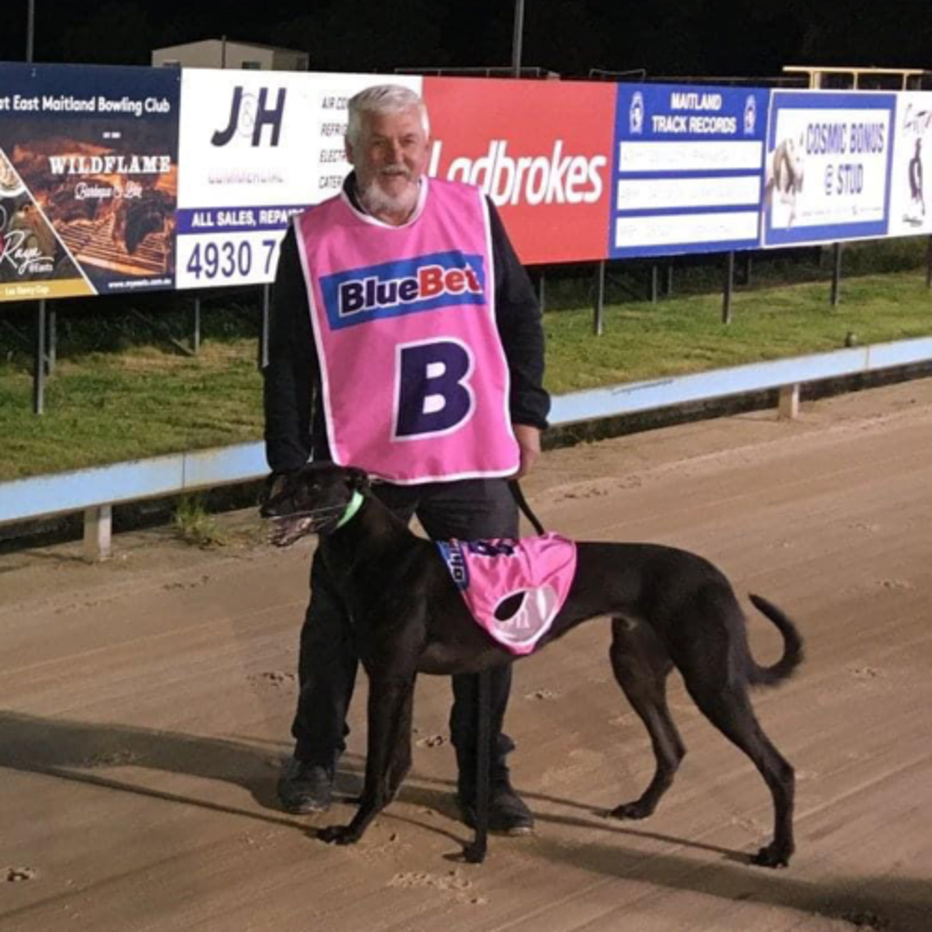 The Greyhound Girl