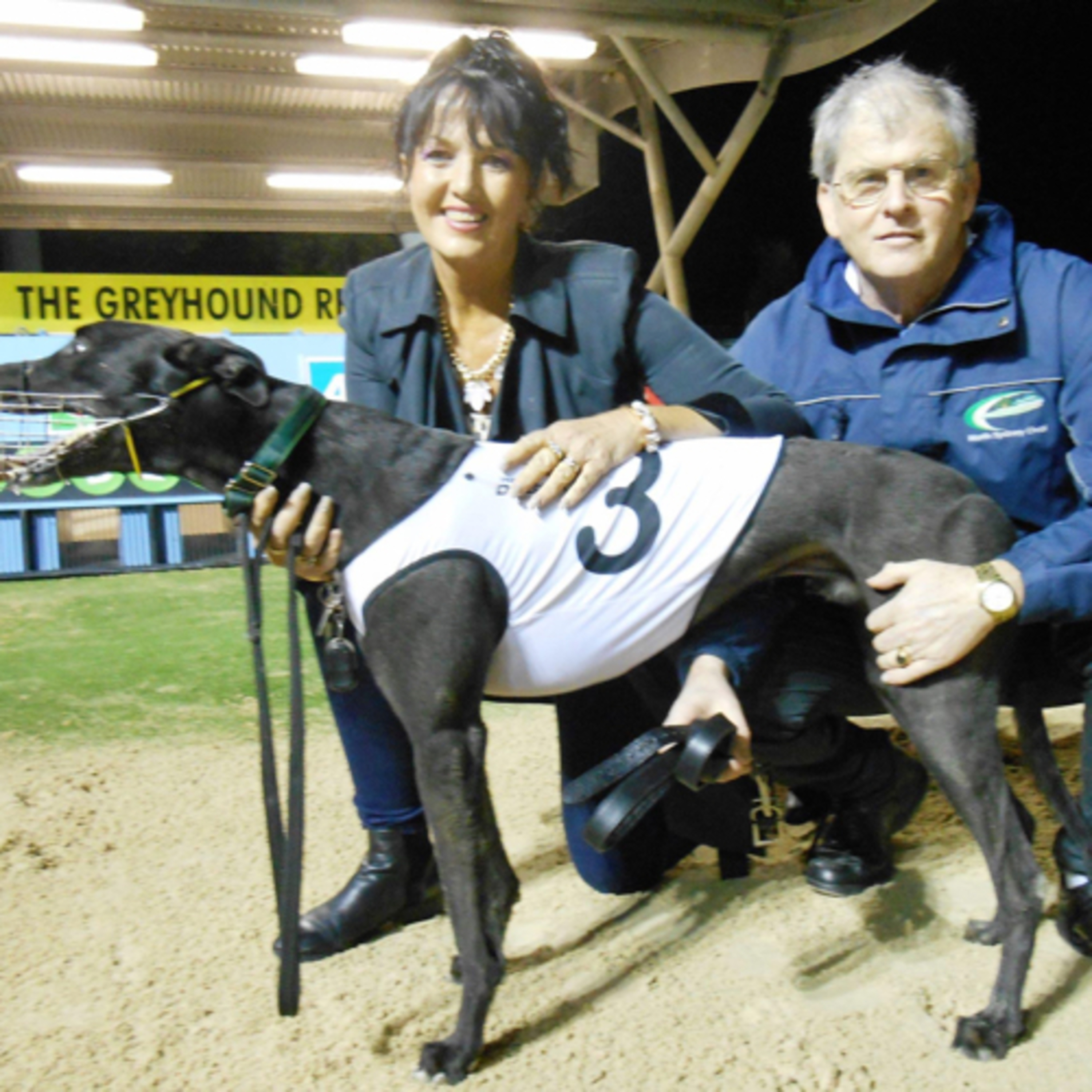 The Greyhound Girl