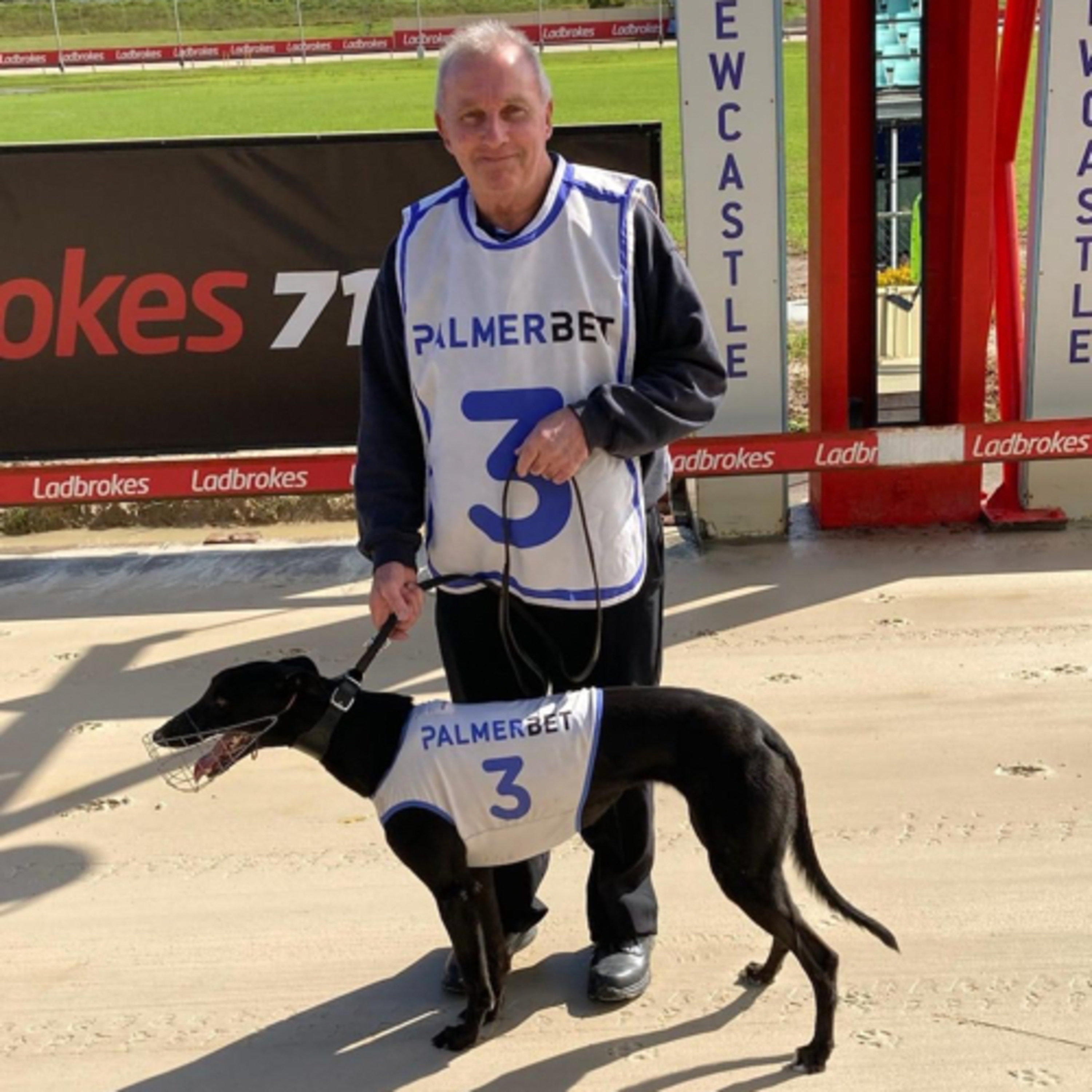The Greyhound Girl