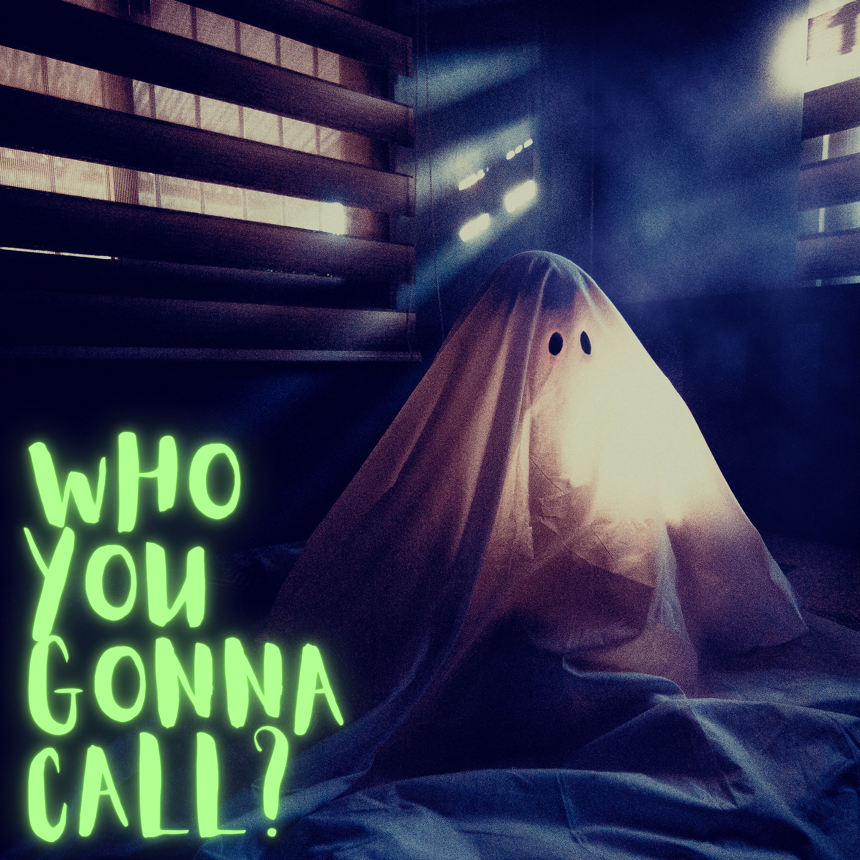 Who You Gonna Call ?