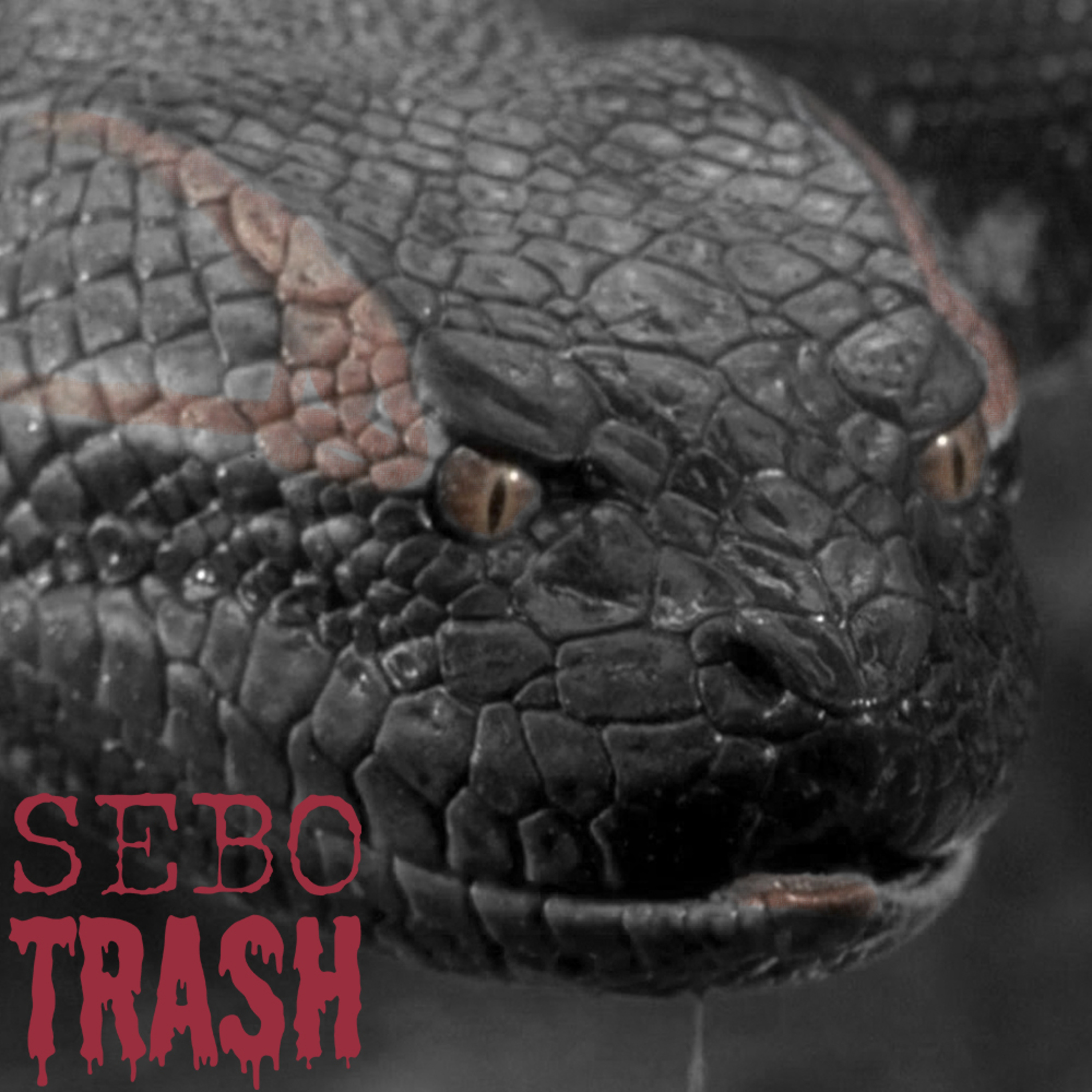 Sebo Trash Podcast
