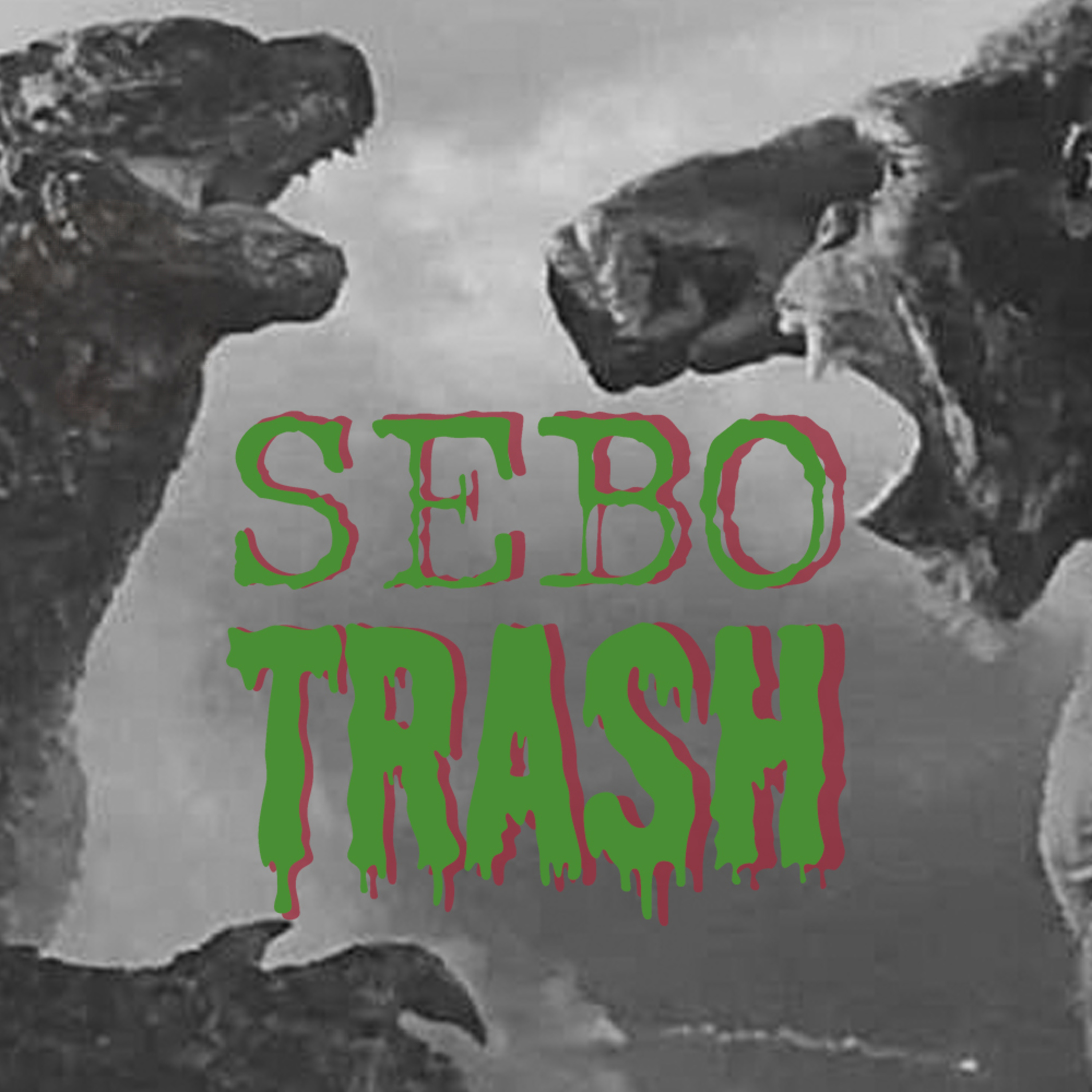 Sebo Trash Podcast