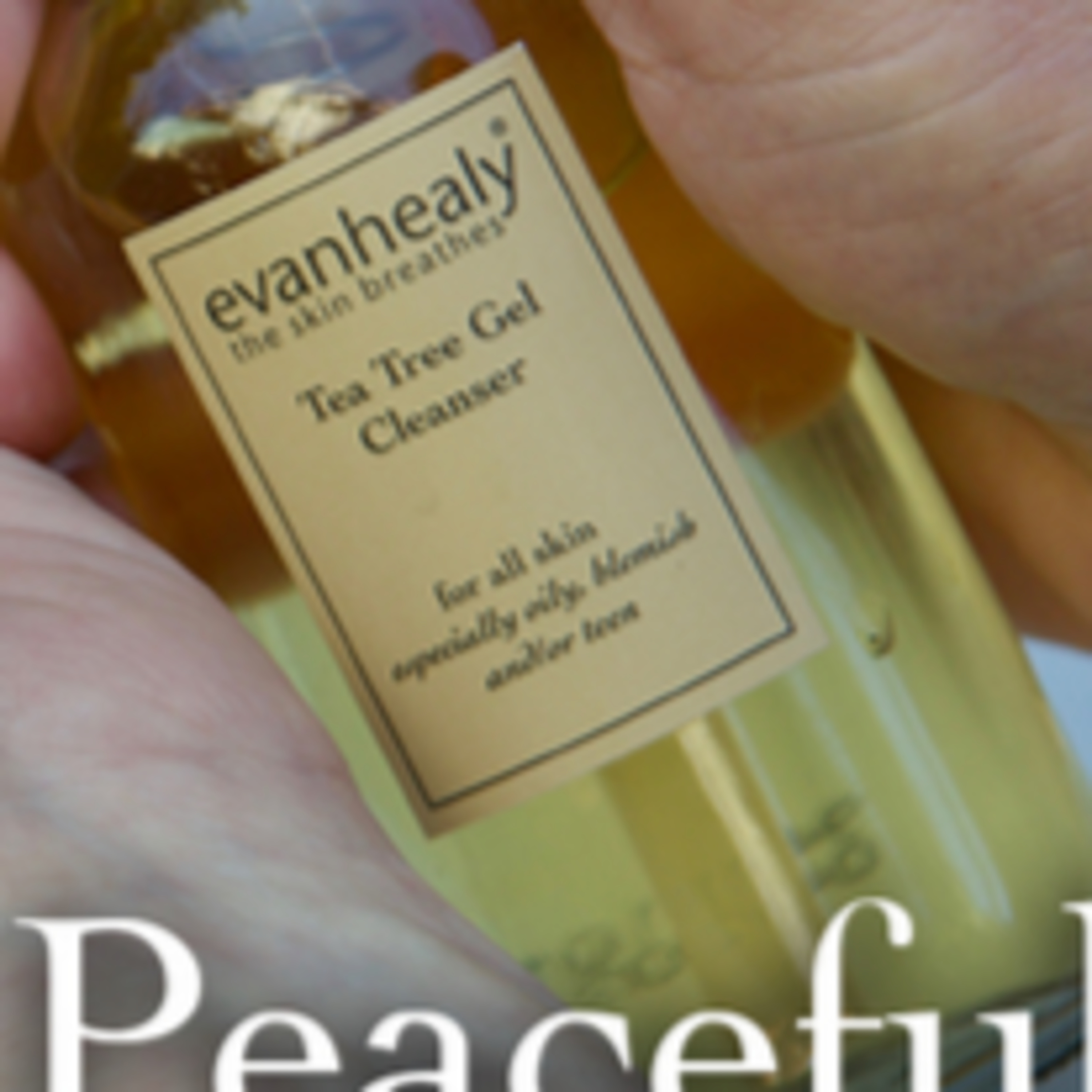 Evan Healy - a socially and environmentally concious organic skin care company