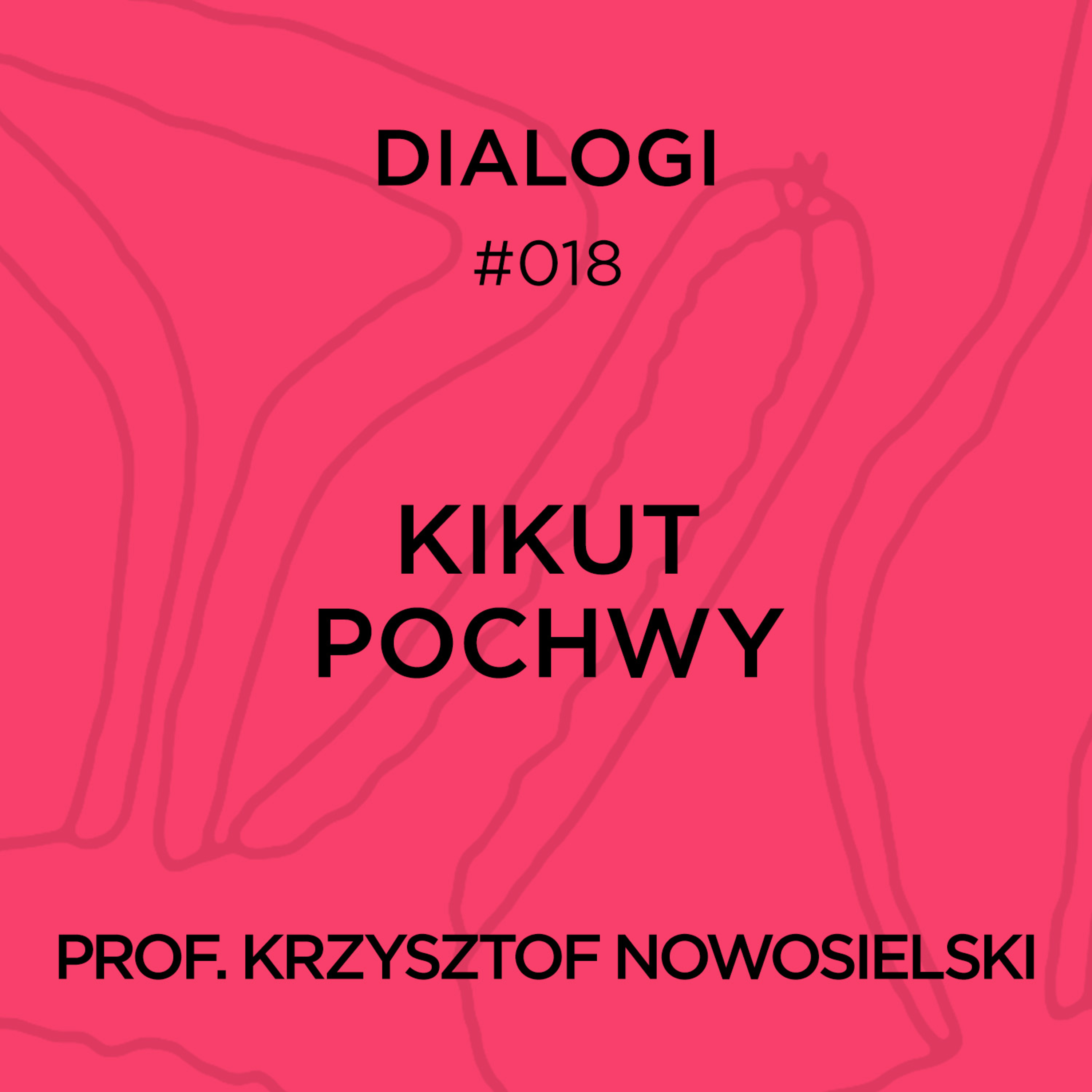 DIALOGI: Kikut pochwy episode artwork