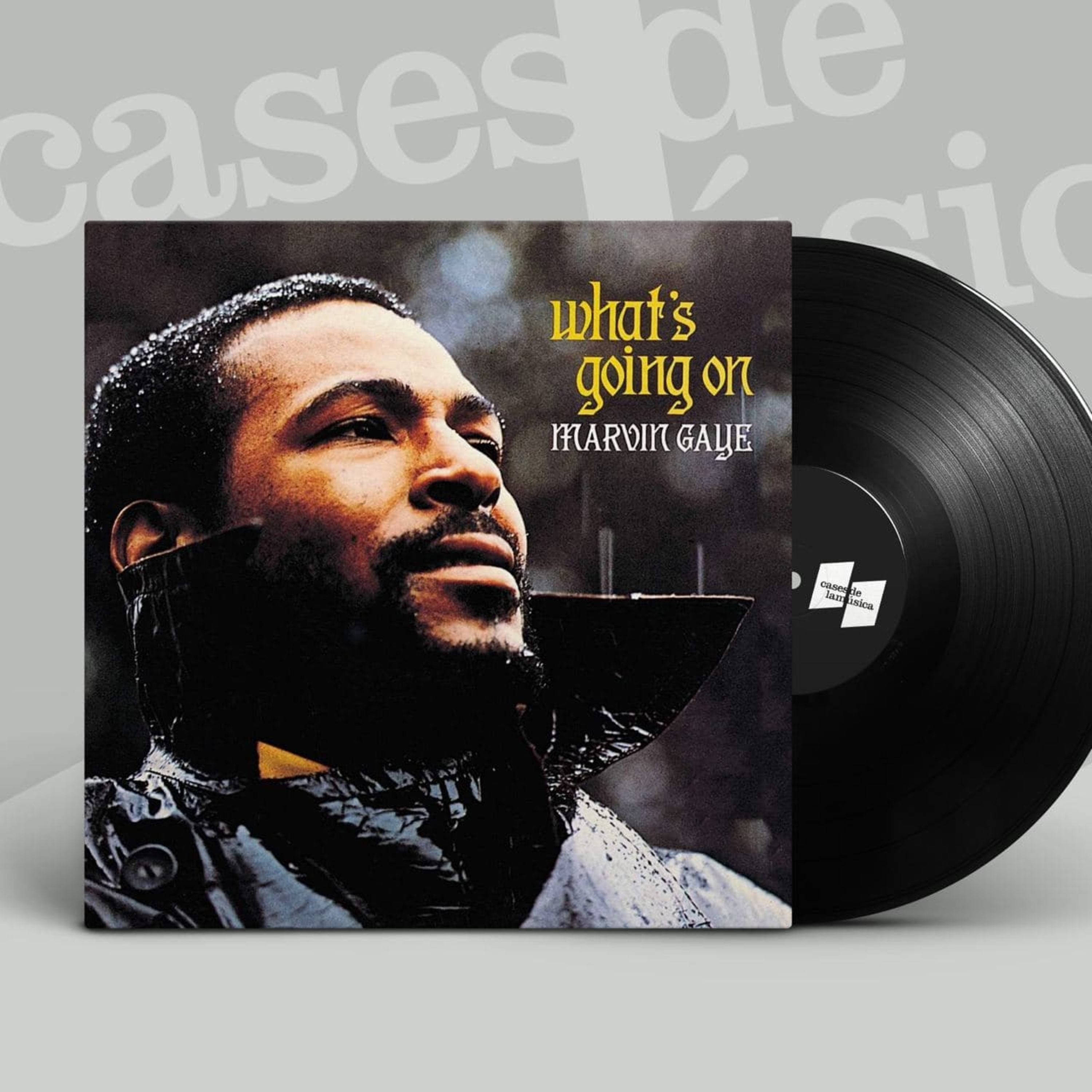 Sessions LP - Cases de la Música