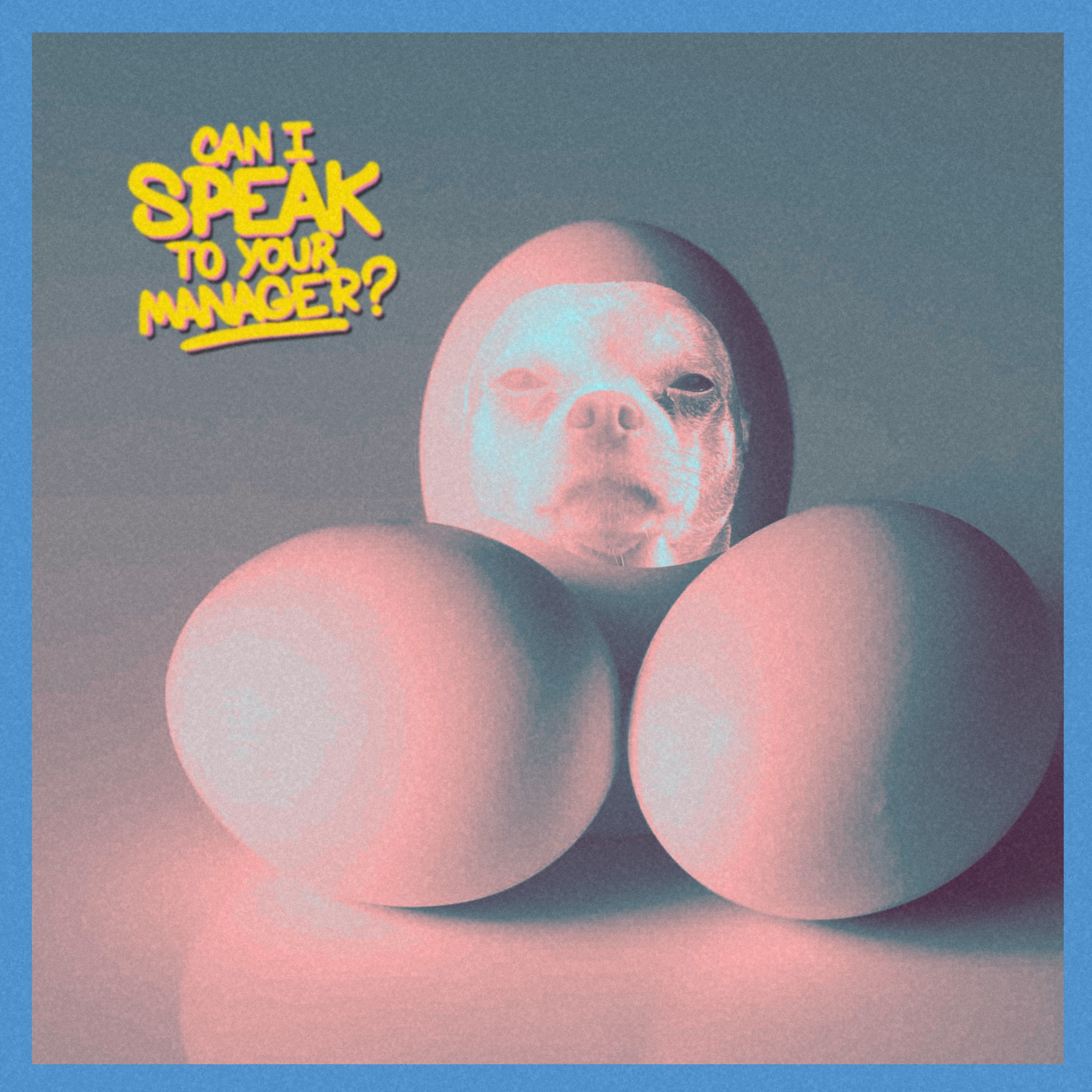 Can I Speak To Your Manager?