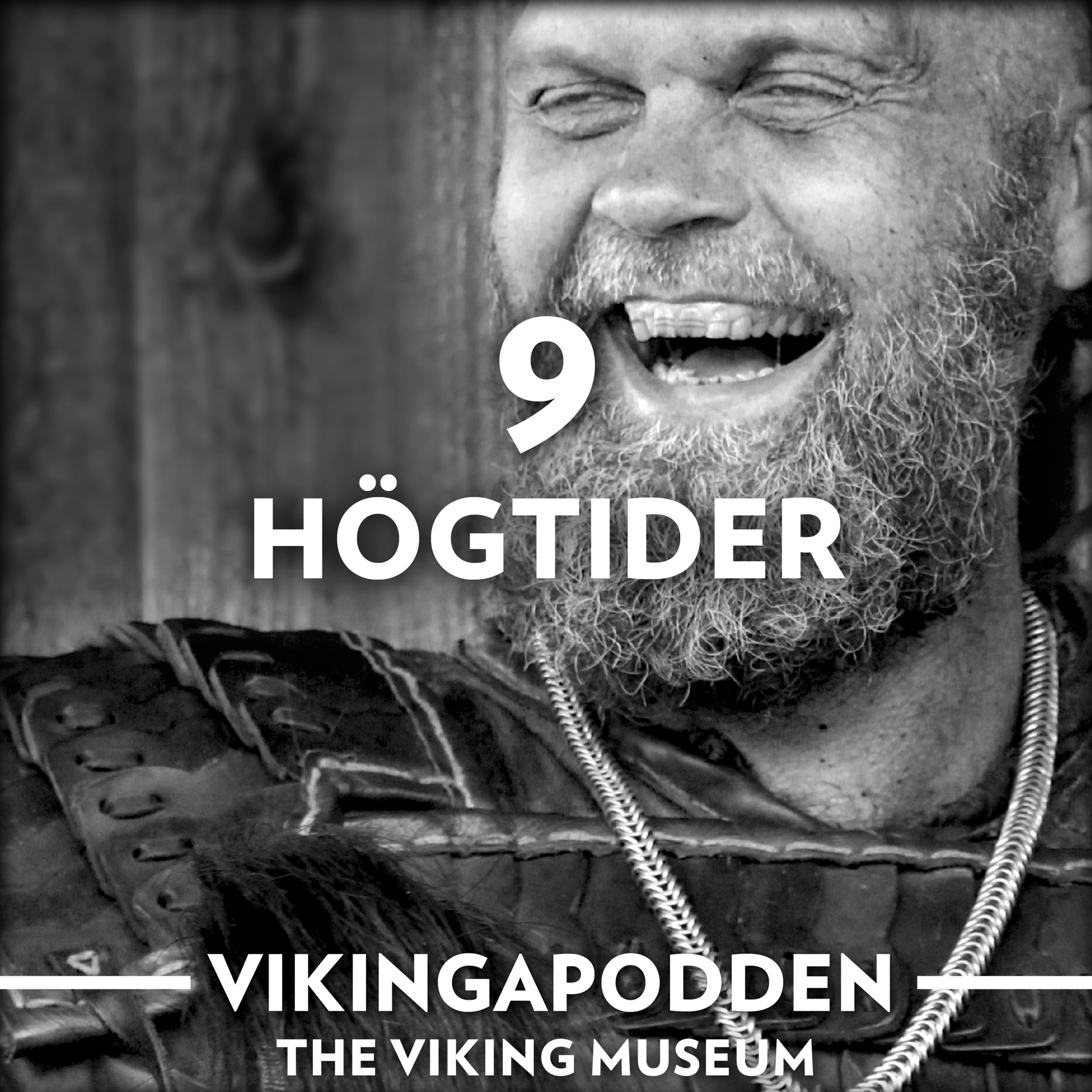 Vikingapodden