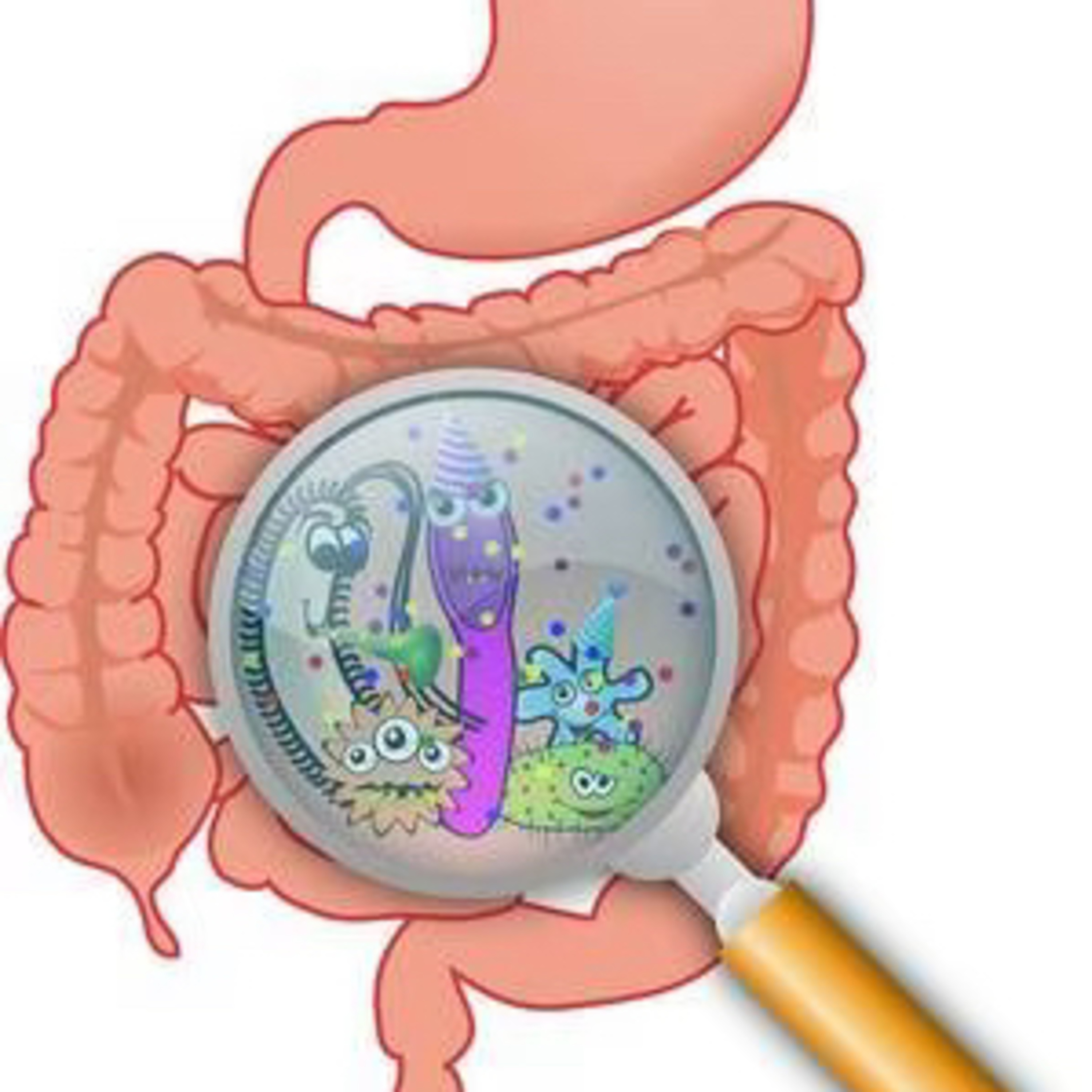 saúde intestinal episode artwork