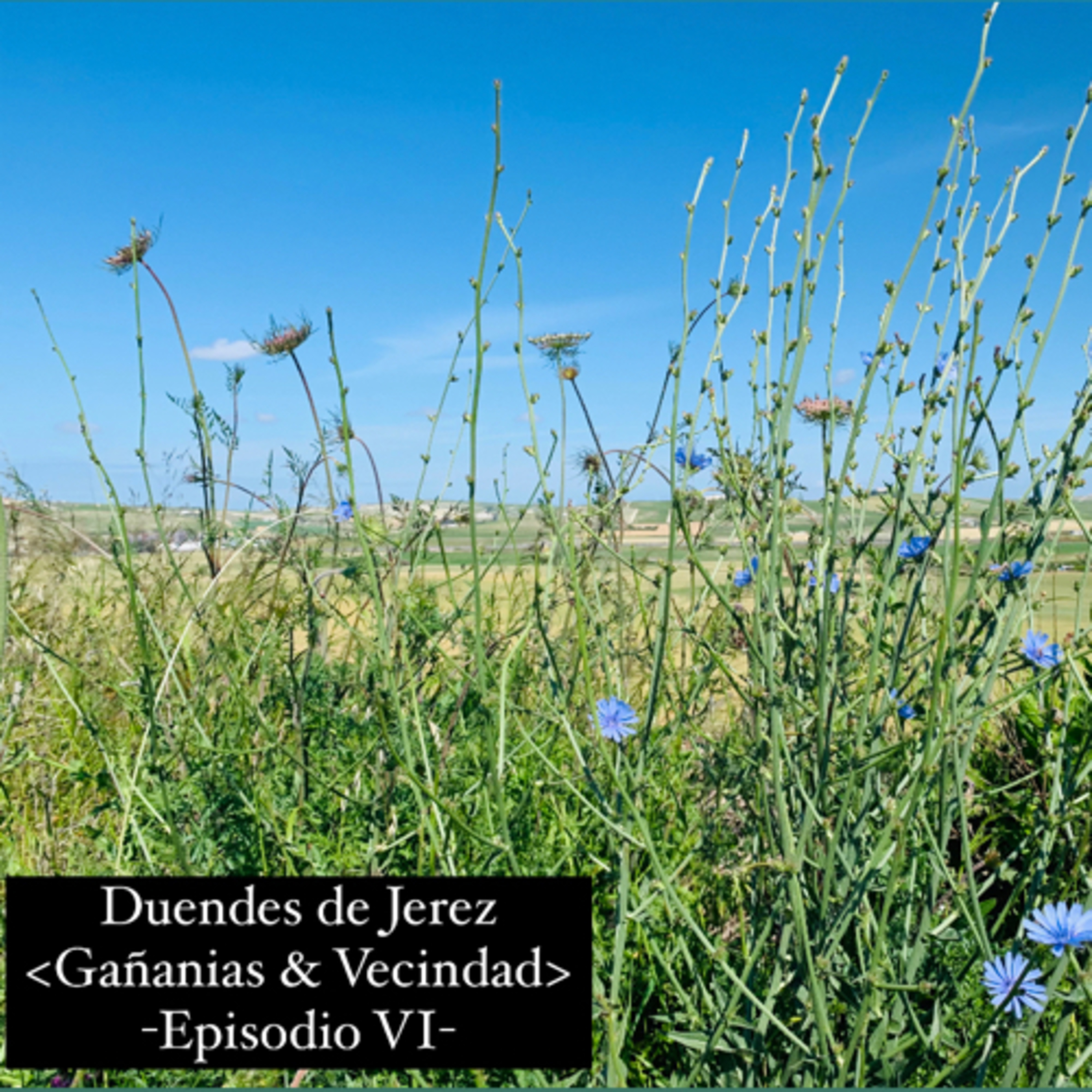 DUENDES de JEREZ by José Gálvez®️