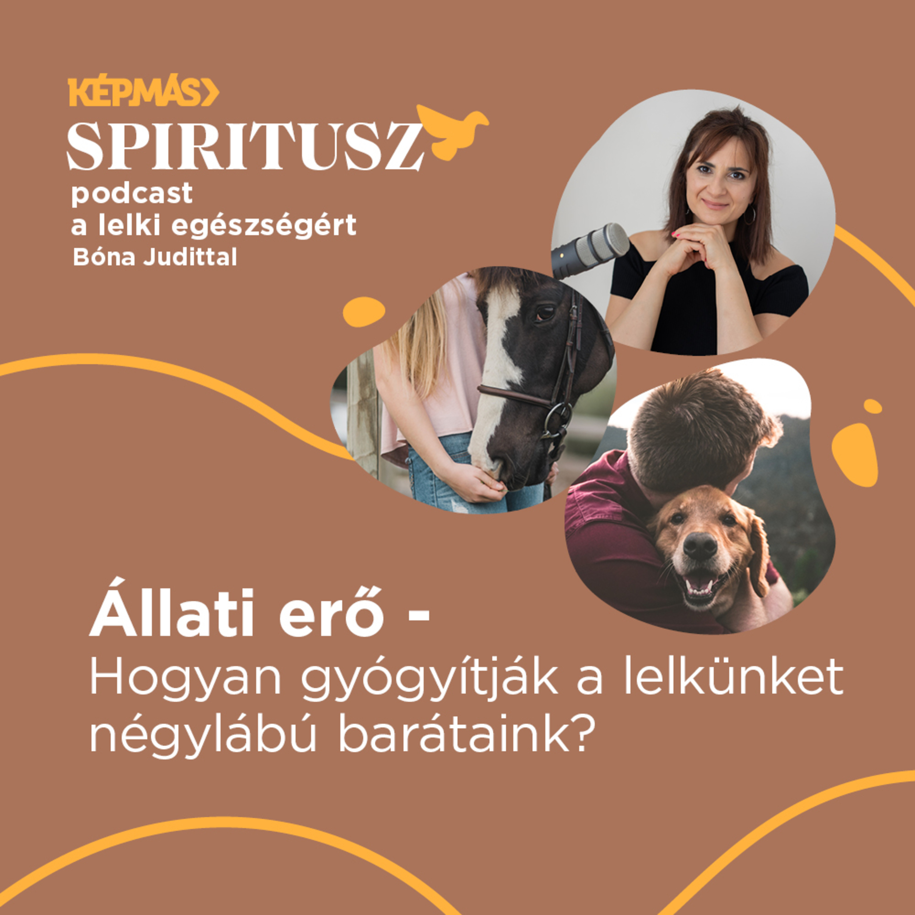 2/17 Állati erő – Hogyan gyógyítják lelkünket négylábú barátaink?