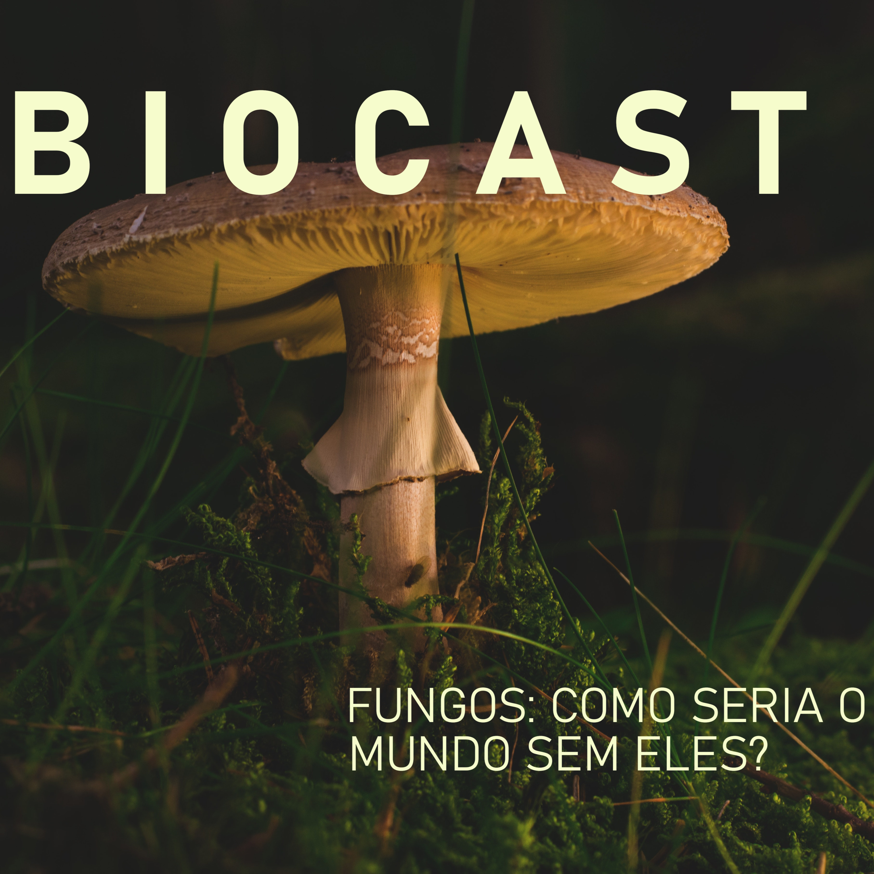 Biocast - Fungos: como seria o mundo sem eles?