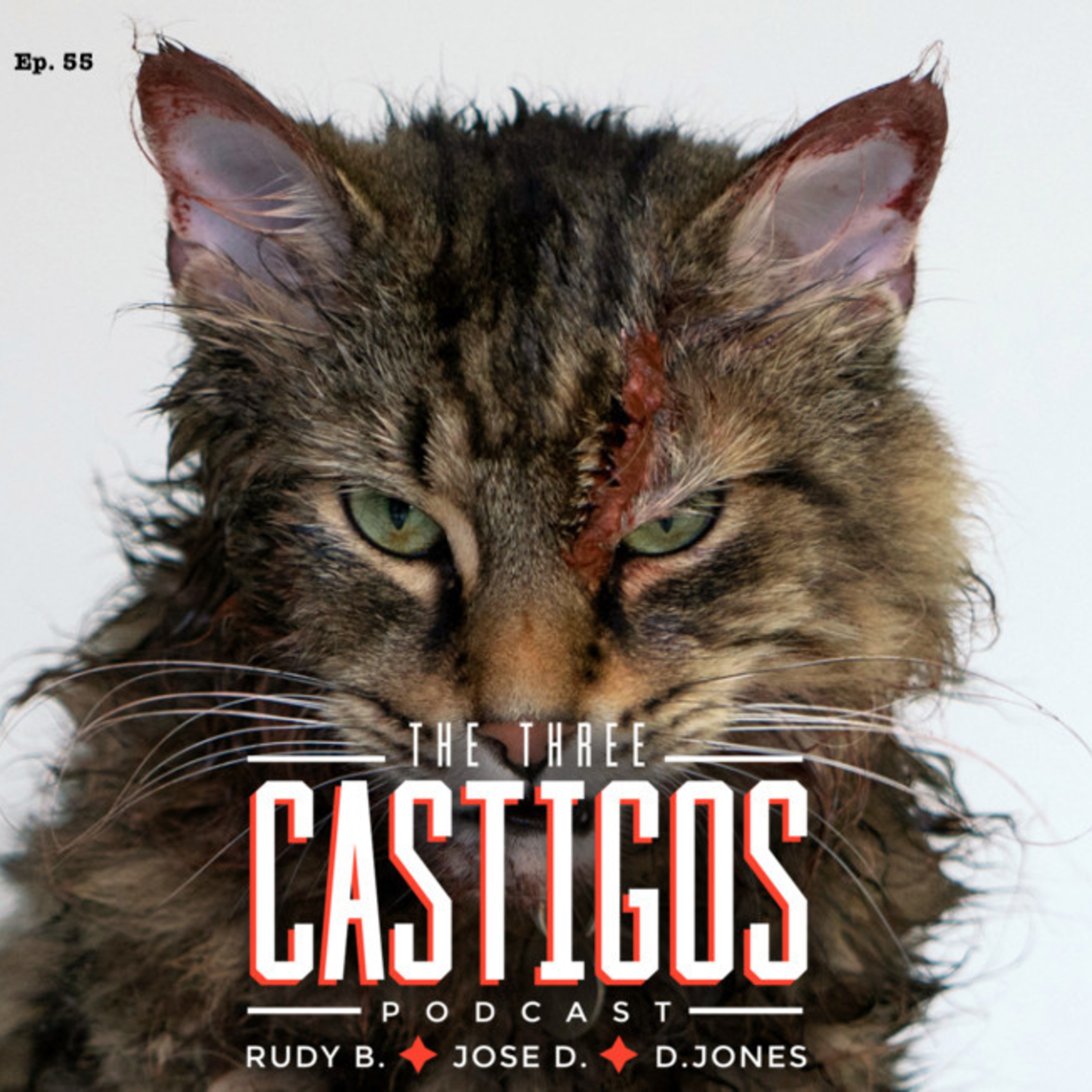 The Castigos