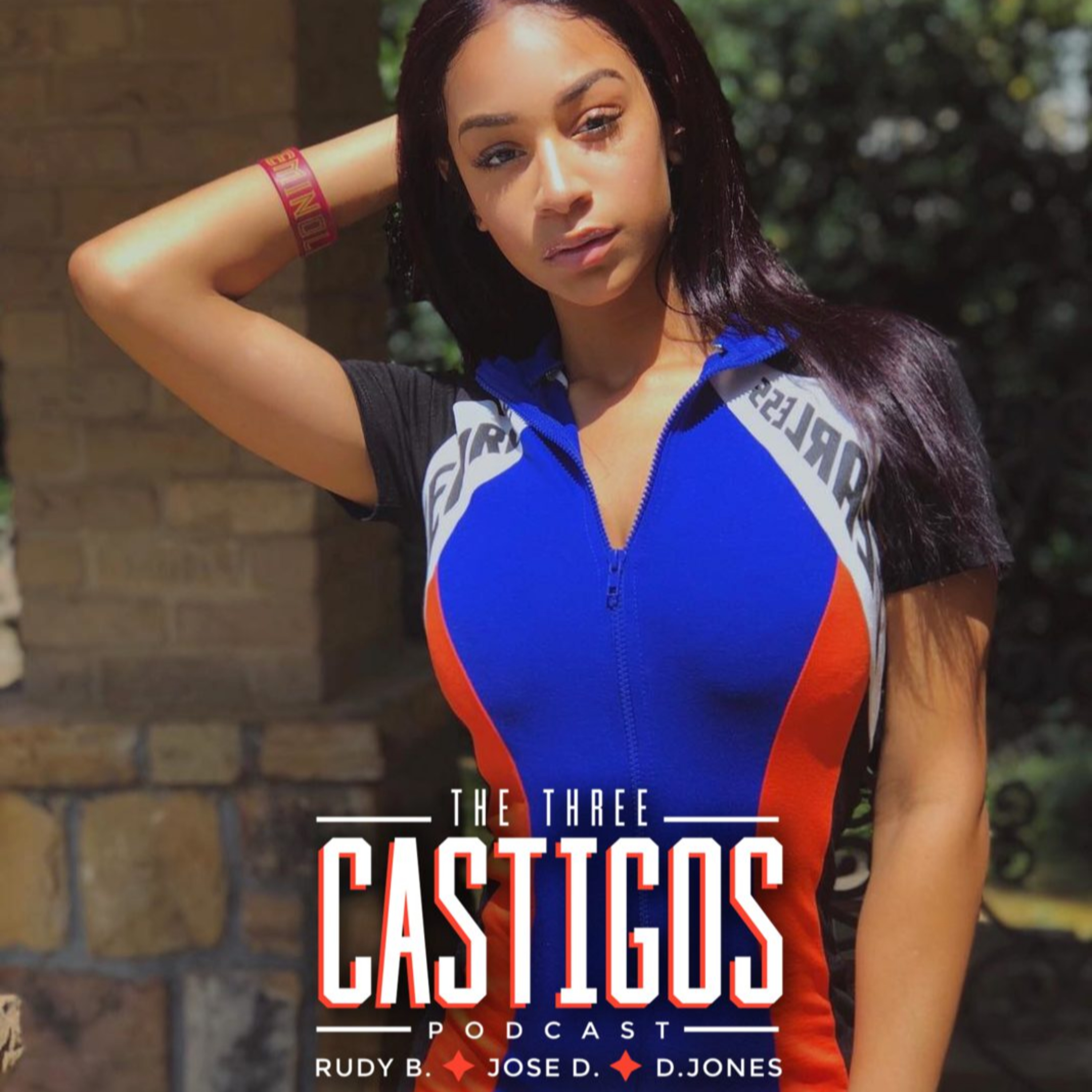 The Castigos