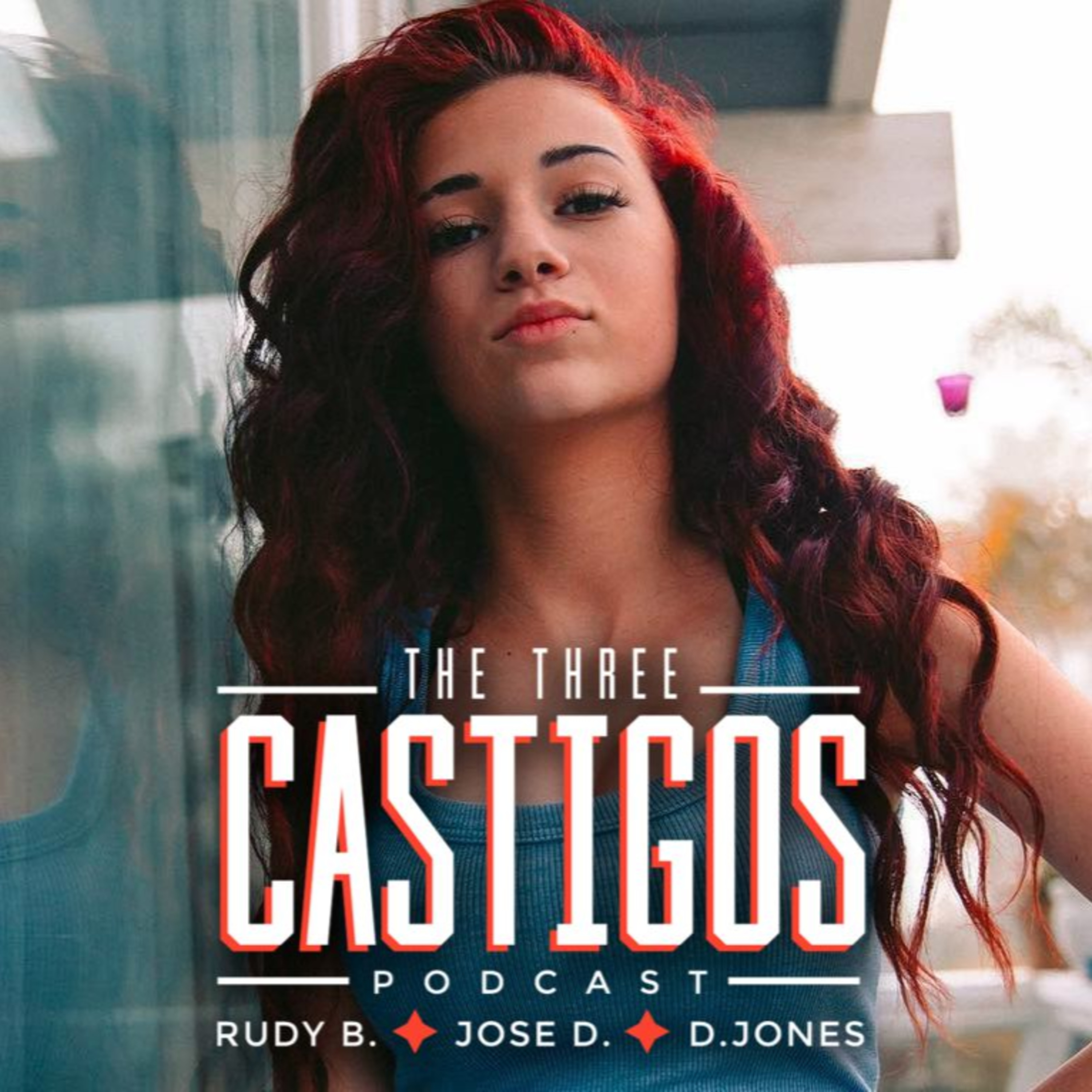 The Castigos