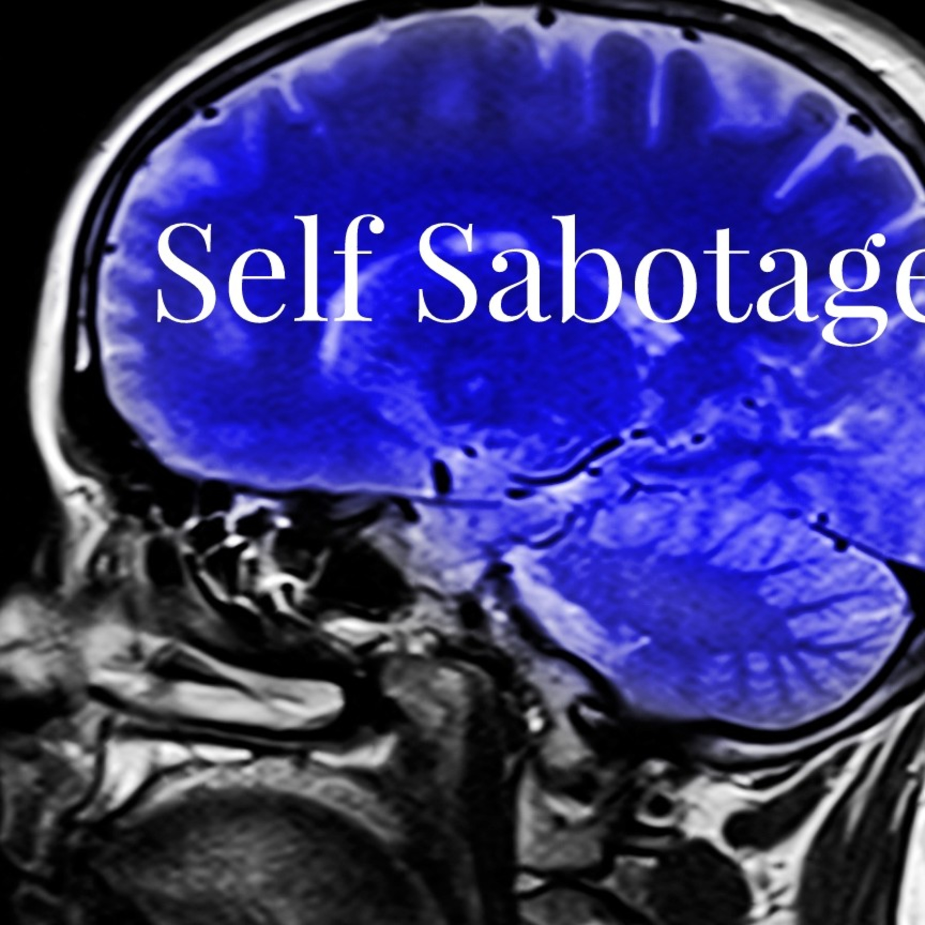 Self Sobotage episode artwork