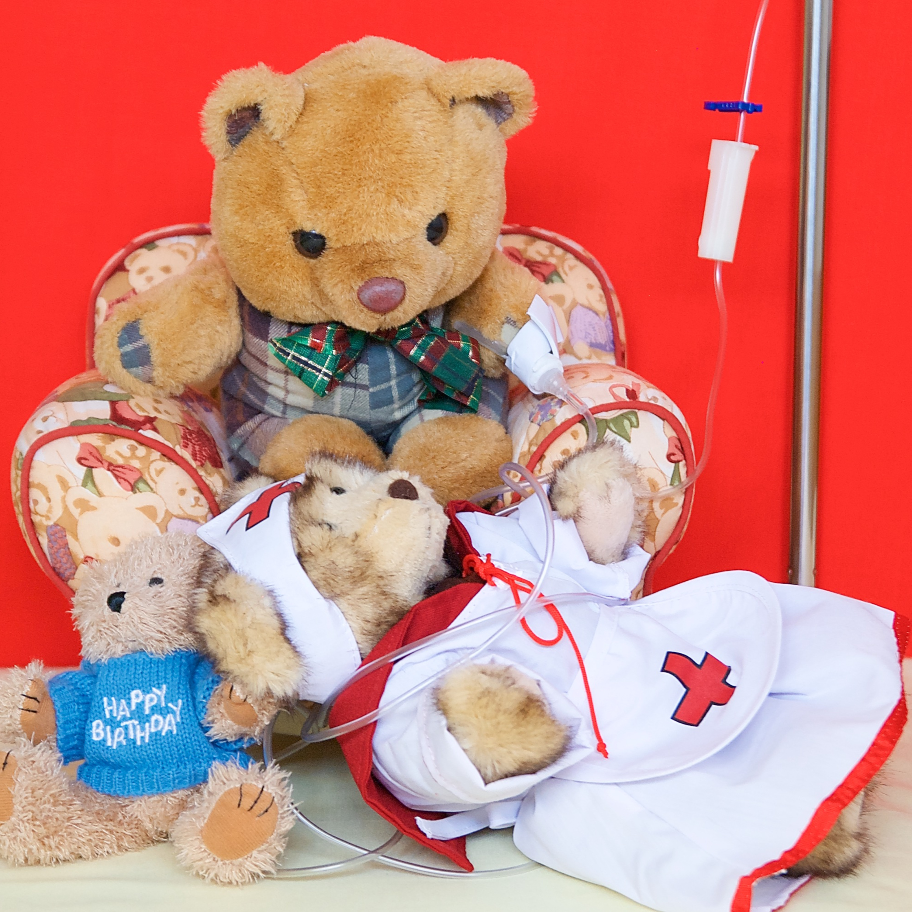 Mawson Bear and his Furry Friends