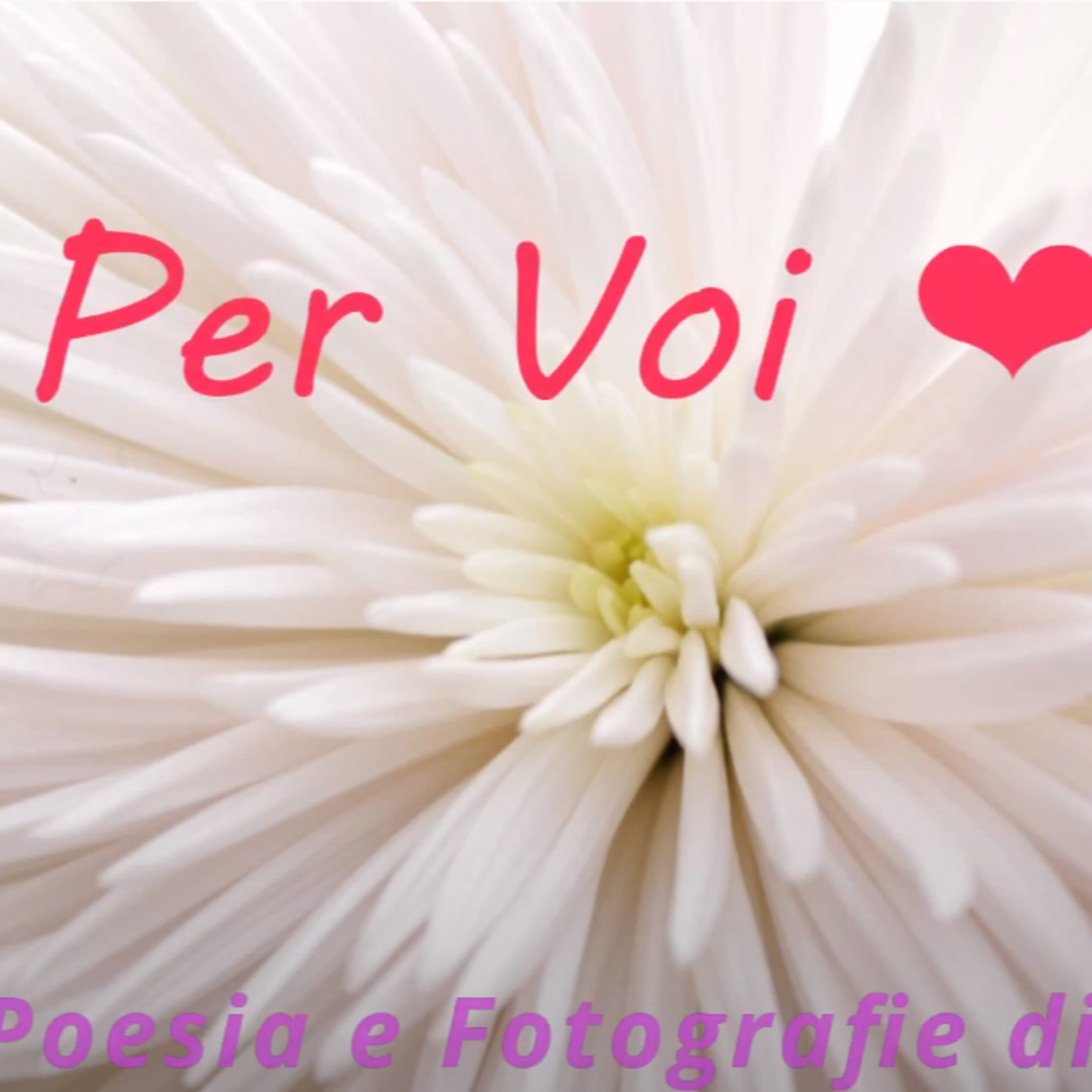Settima Essenza