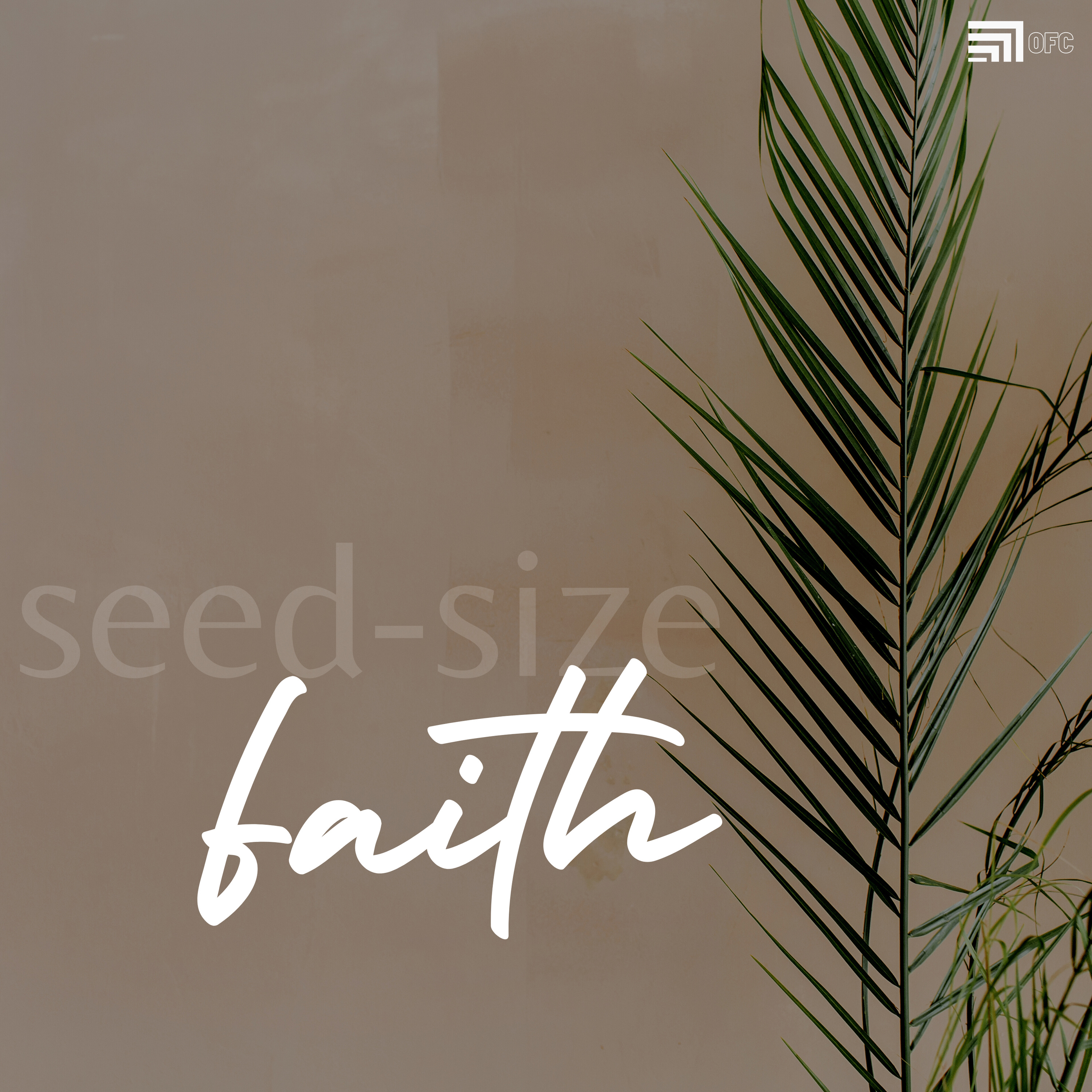 Seed-Size Faith - David Garza episode artwork