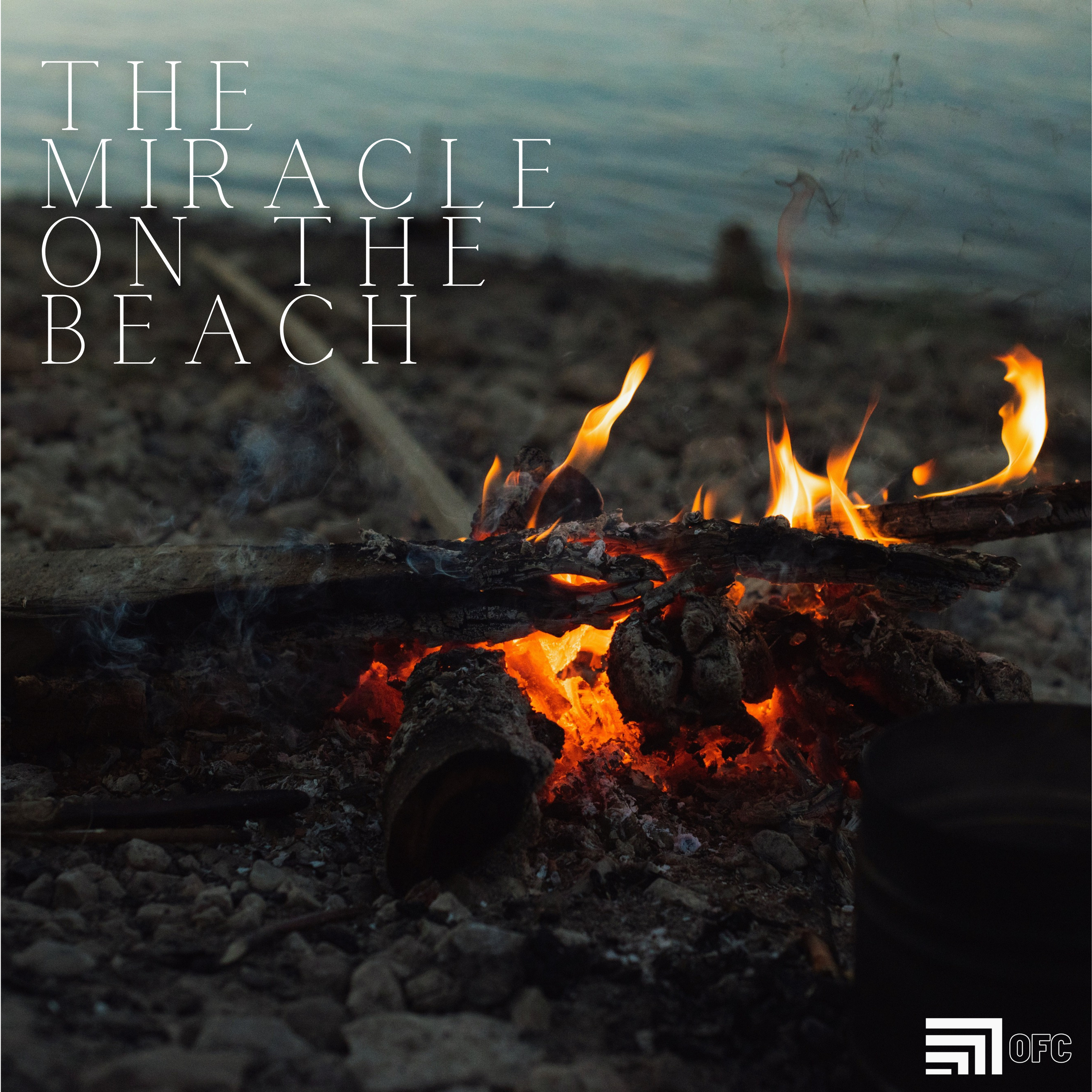 The Miracle On The Beach - David Garza  episode artwork