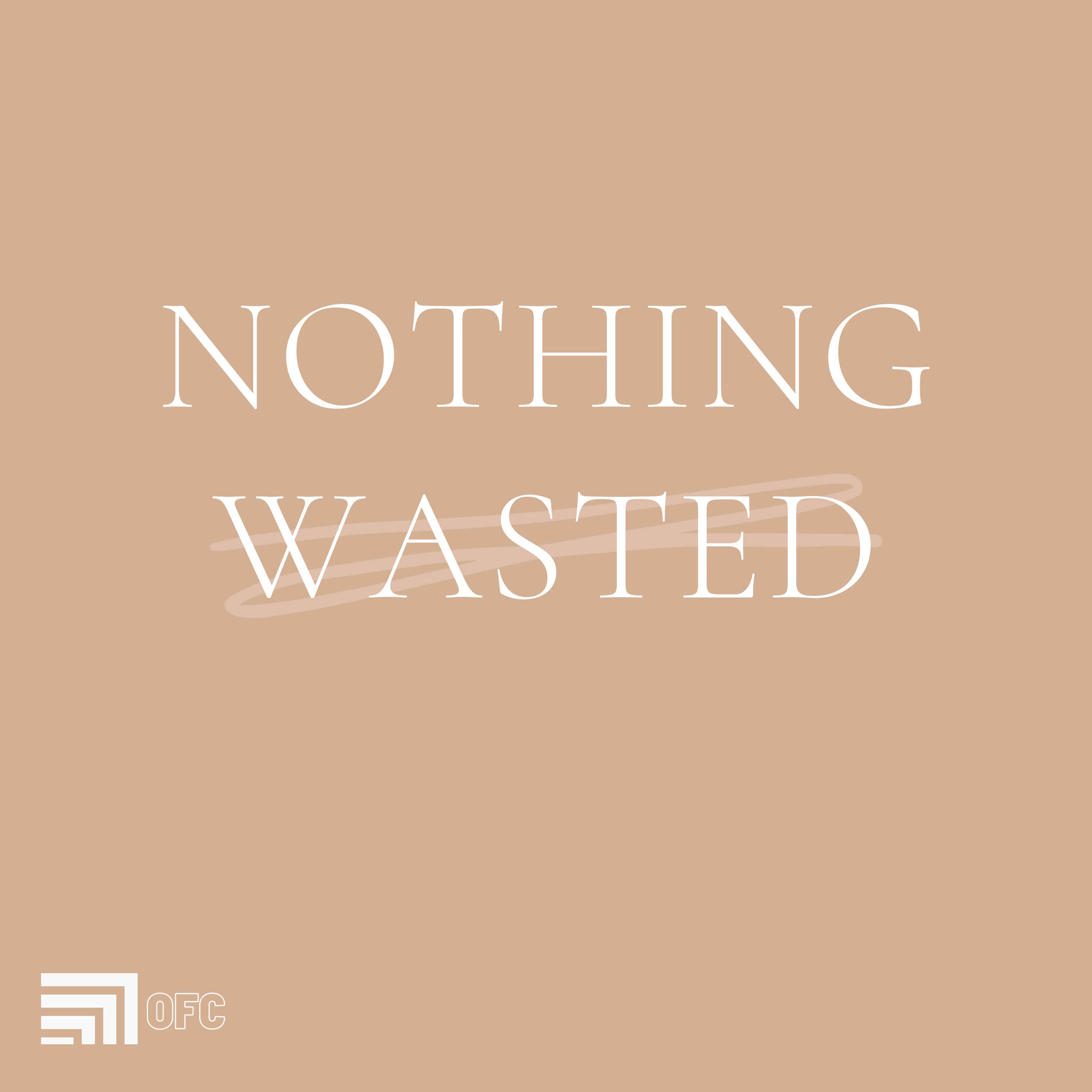 Nothing Wasted - David Garza episode artwork