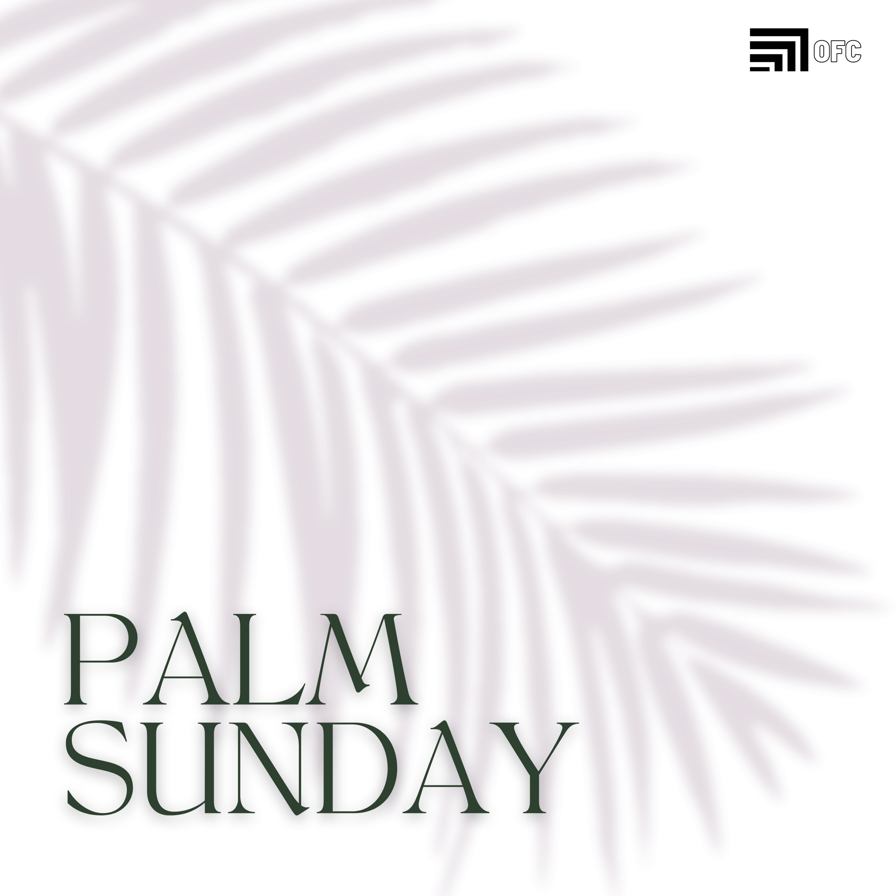 Palm Sunday - David Garza episode artwork