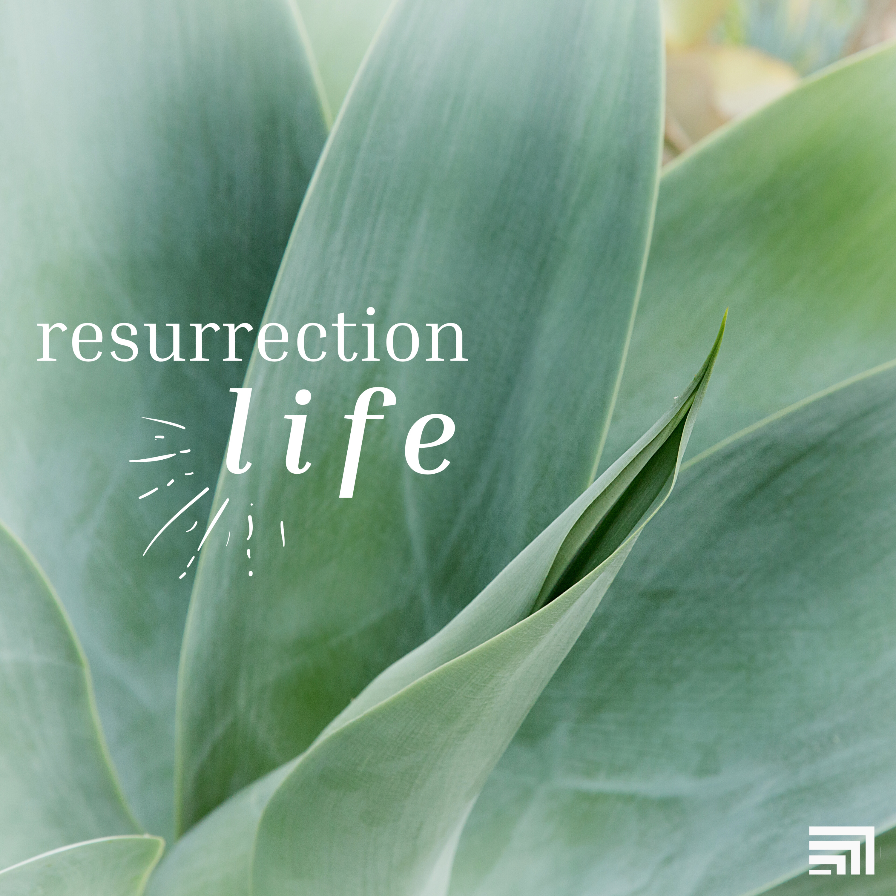 Resurrection Life - Kenzie Garza episode artwork