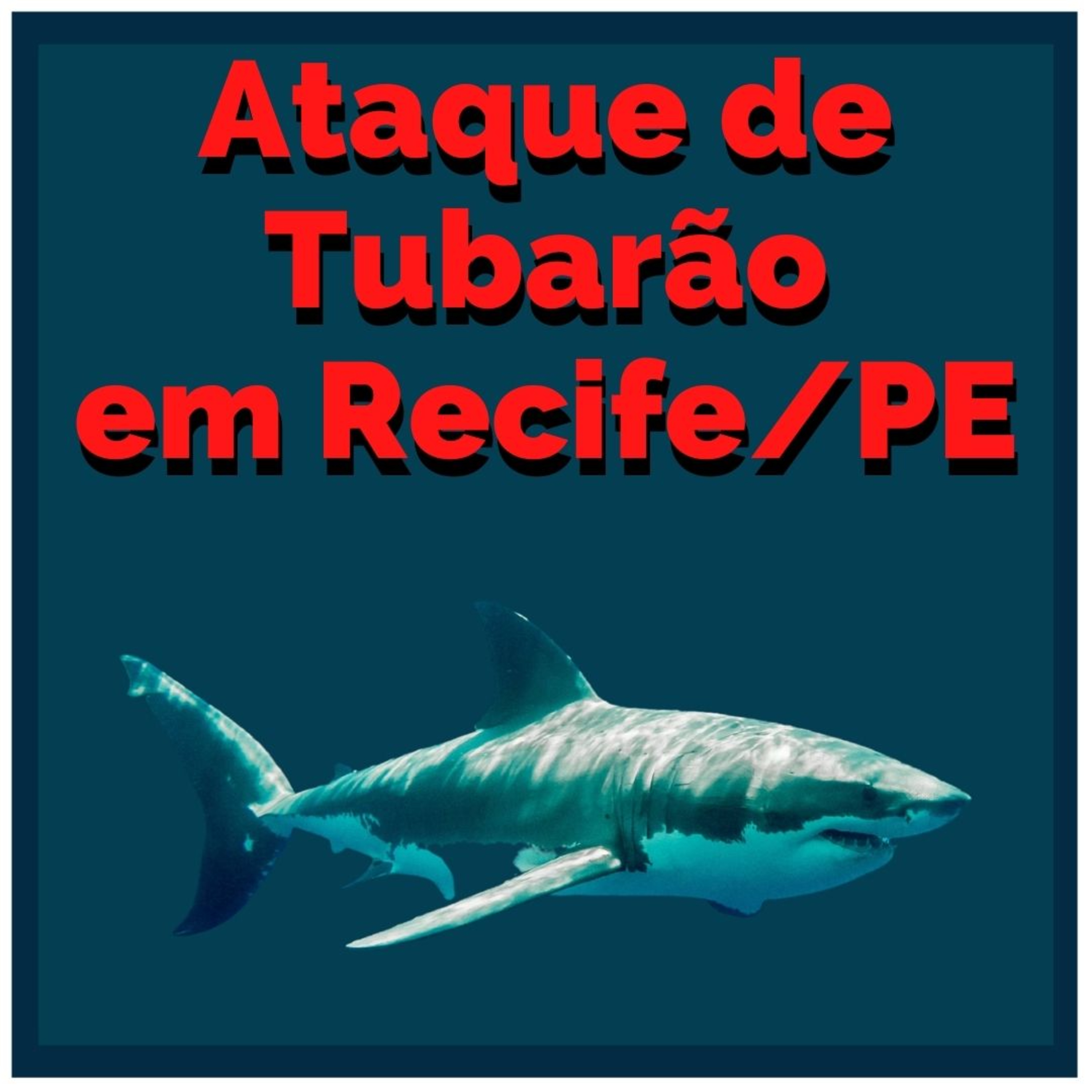 Turismo com Café