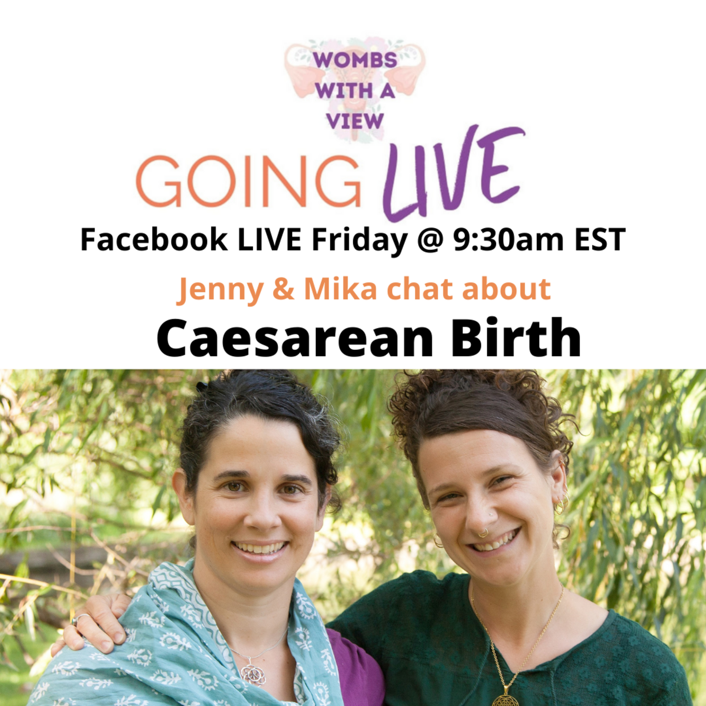 Wombs with a View: Caesarean Birth thumbnail