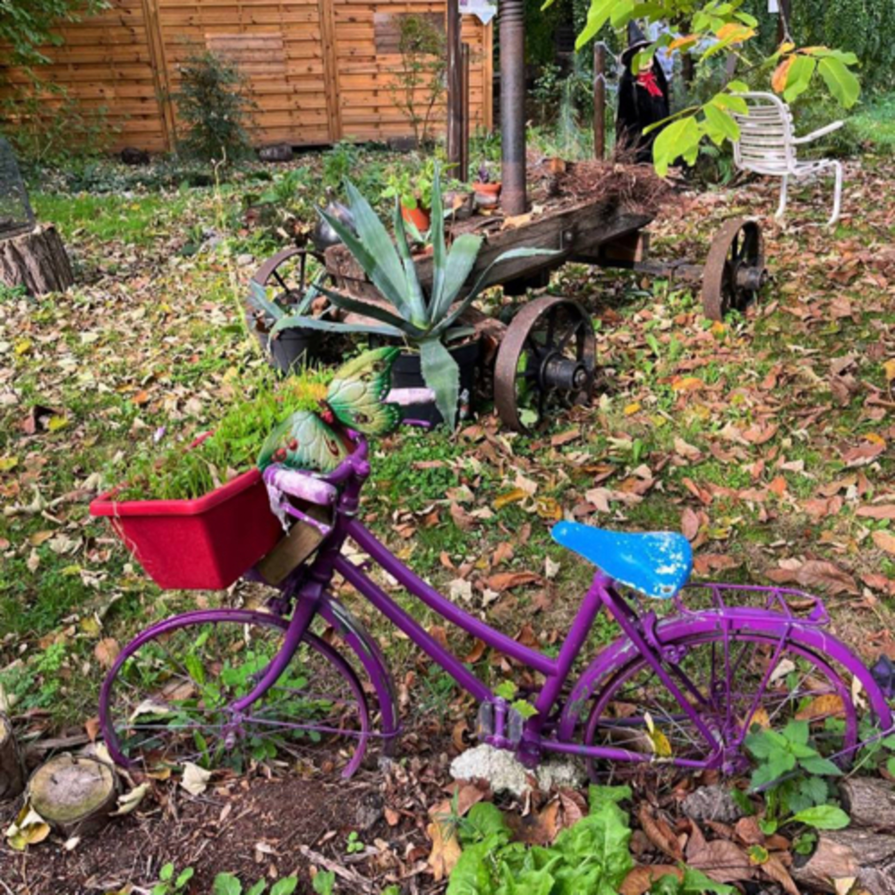 Au cœur du jardin pédagogique d’Inven’Terre episode artwork