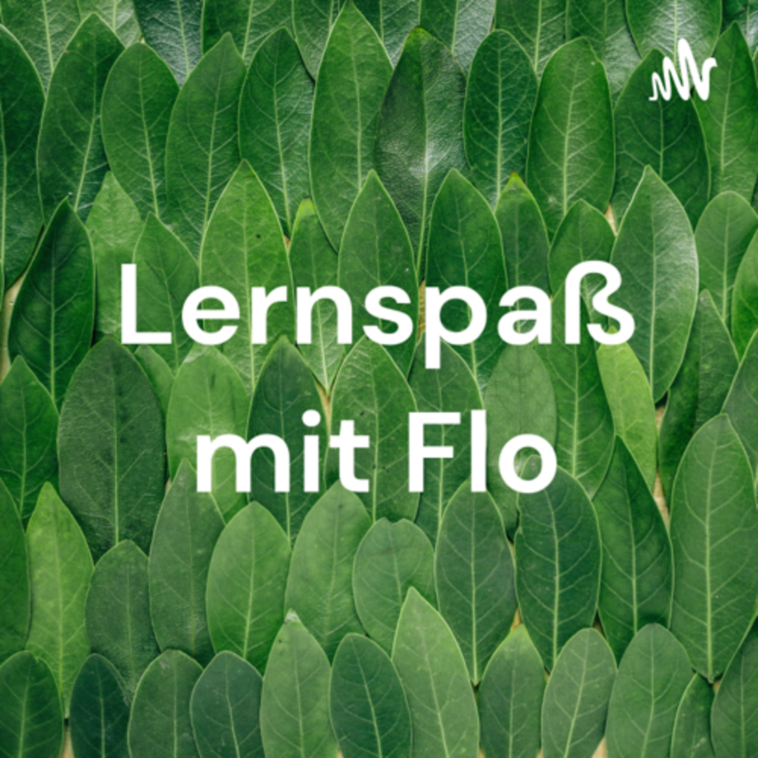 Lernspaß mit Flo