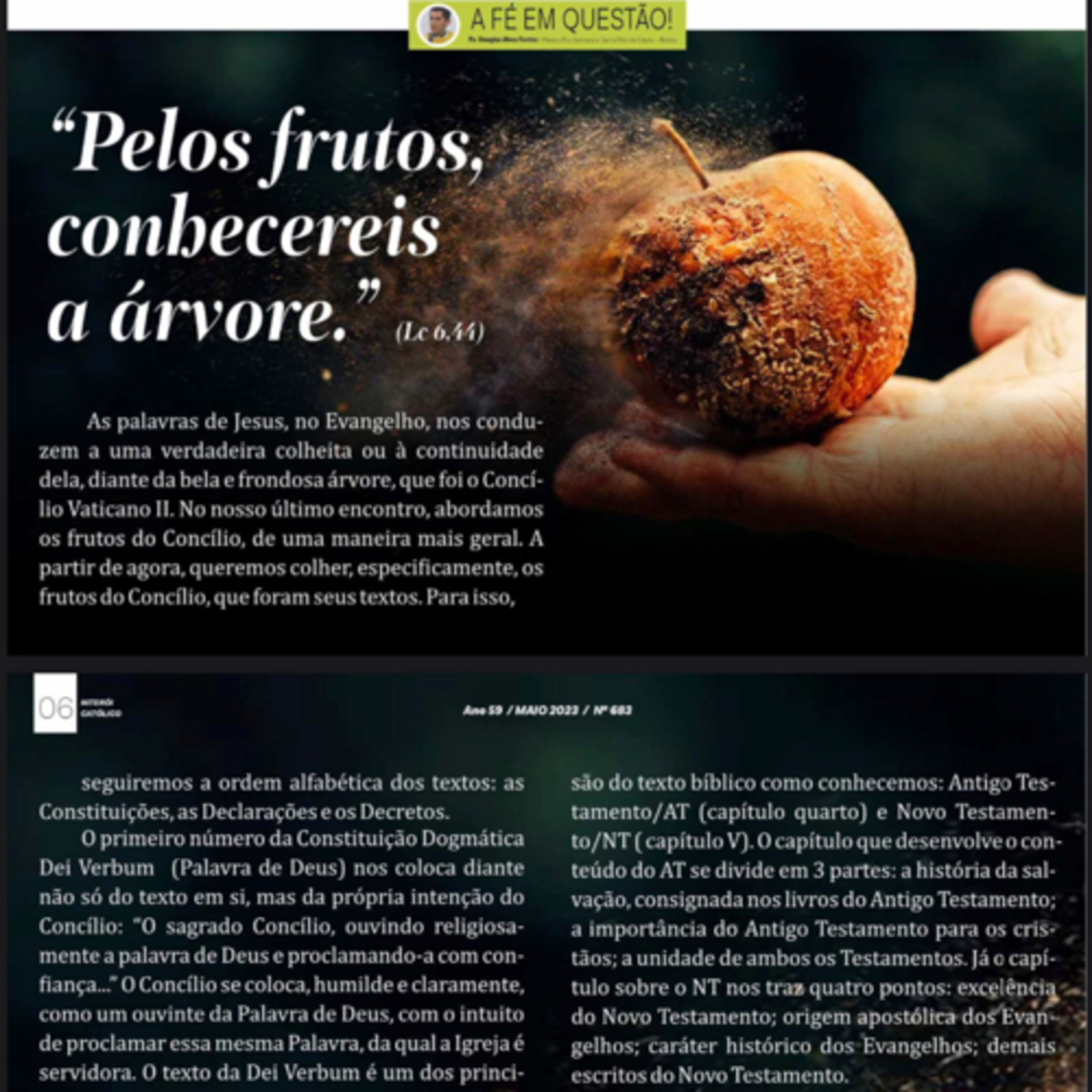 “Pelos frutos, conhecereis a árvore.” (Lc 6,44) episode artwork