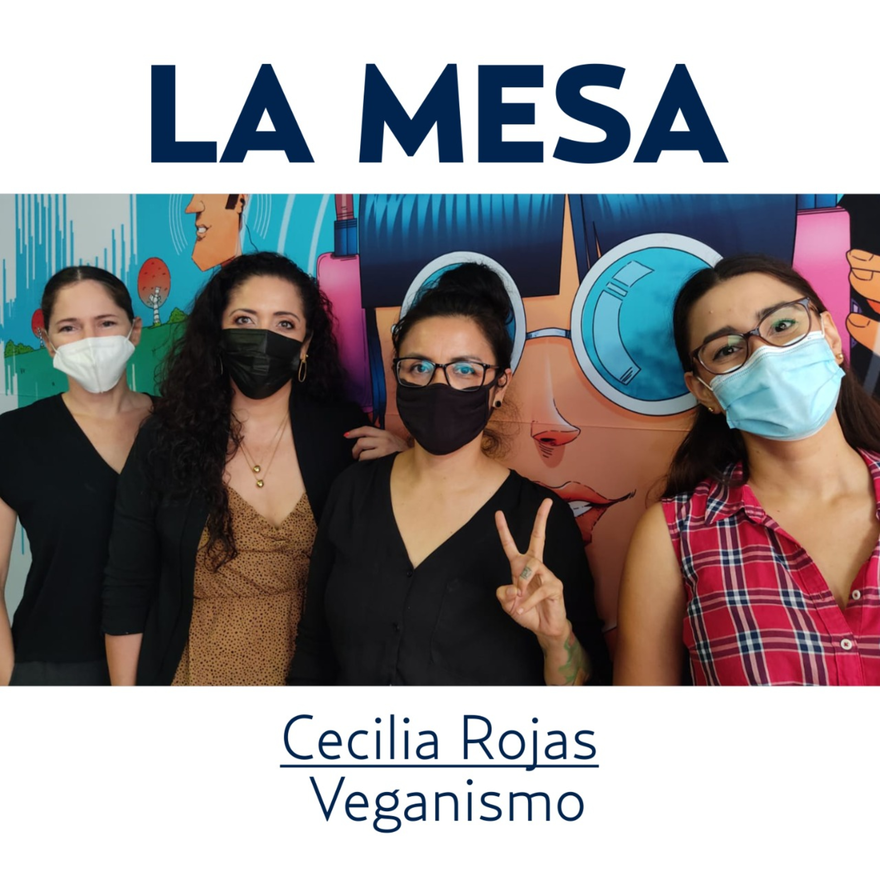 La MESA BCS programa + información
