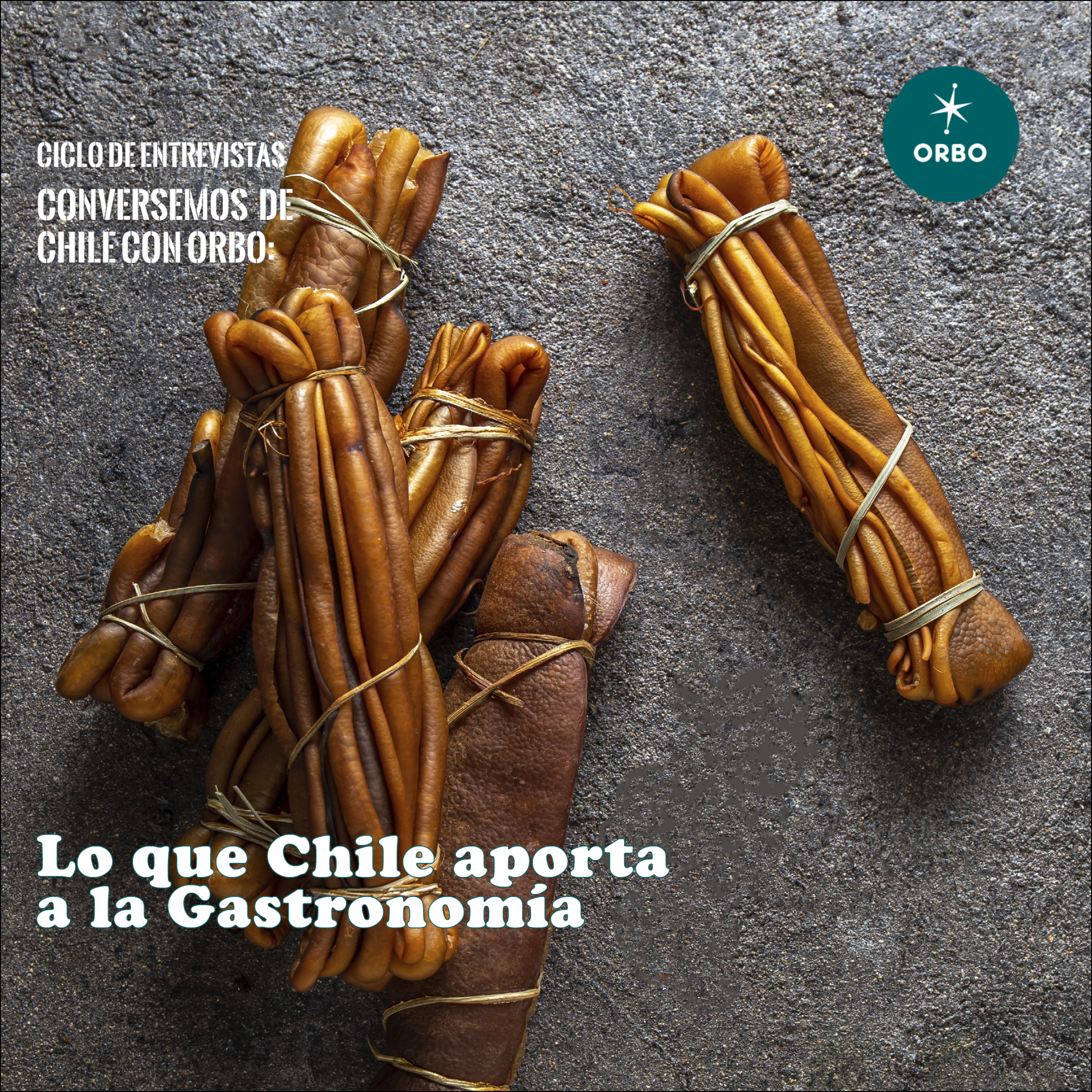 Conversando De Chile Con Orbo