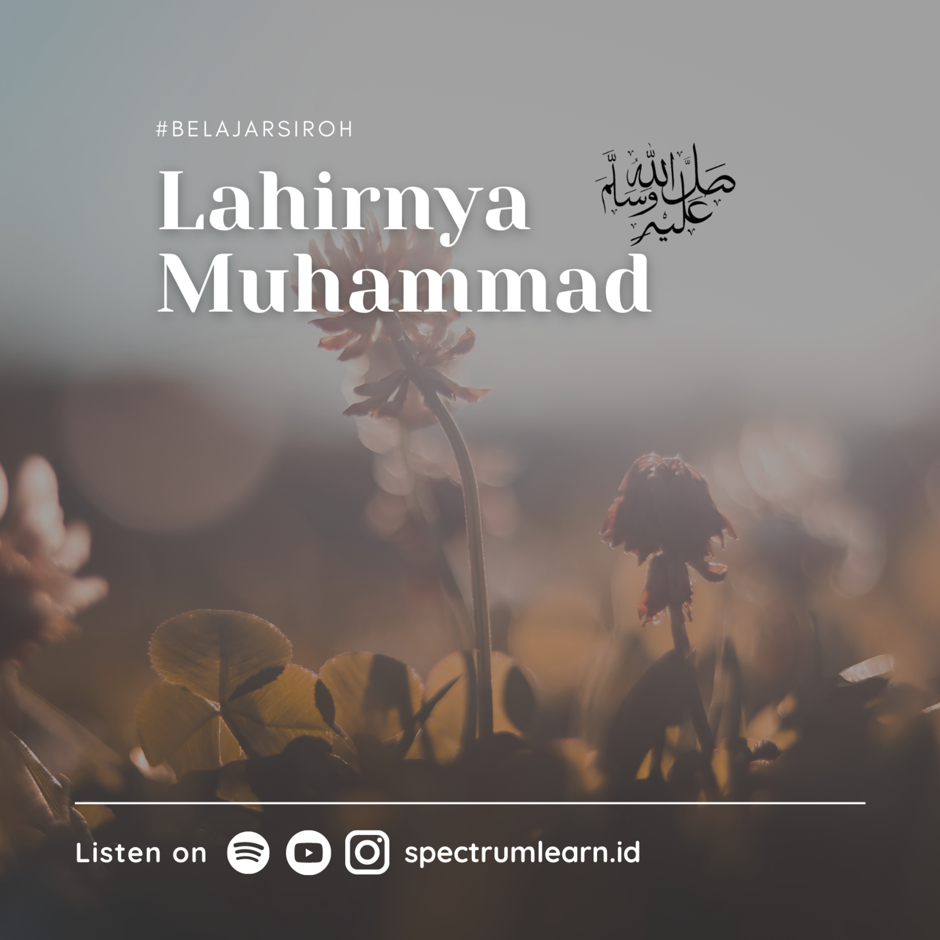 spectrumlearn.id