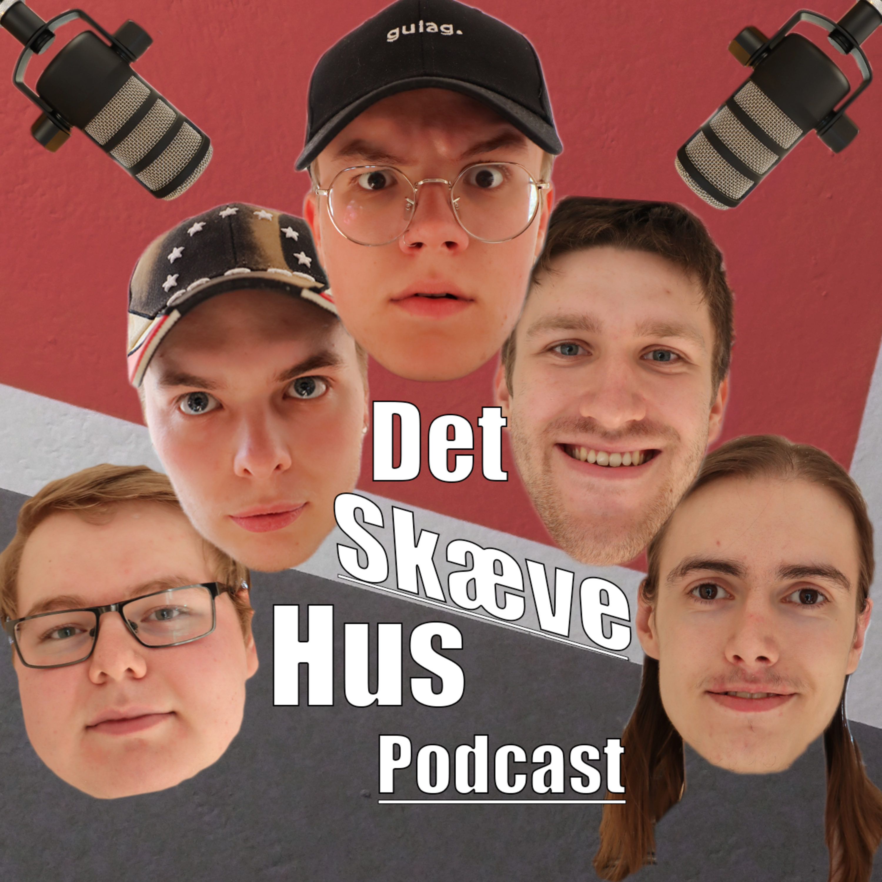 Det Skæve Hus