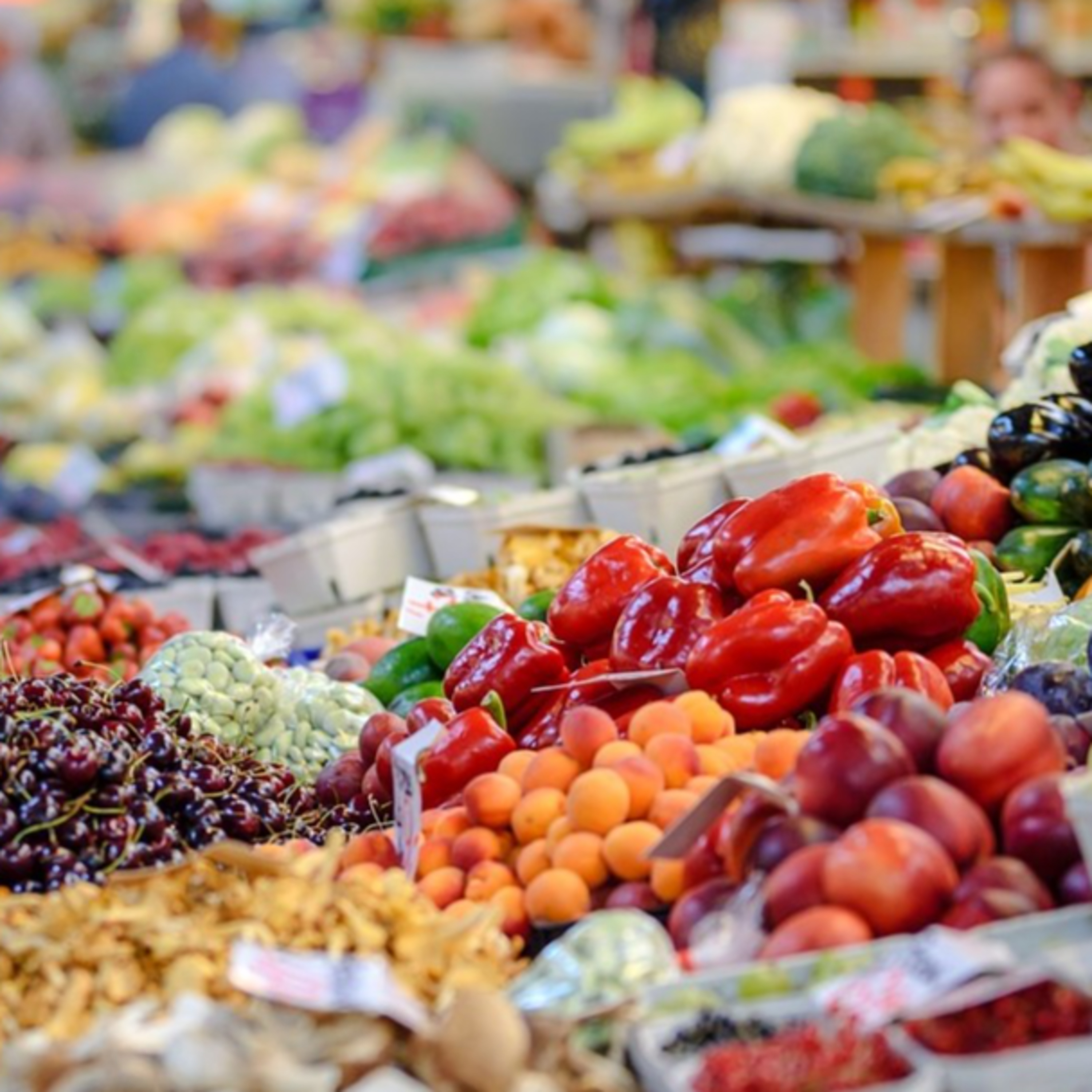 Barbas do Conhecimento