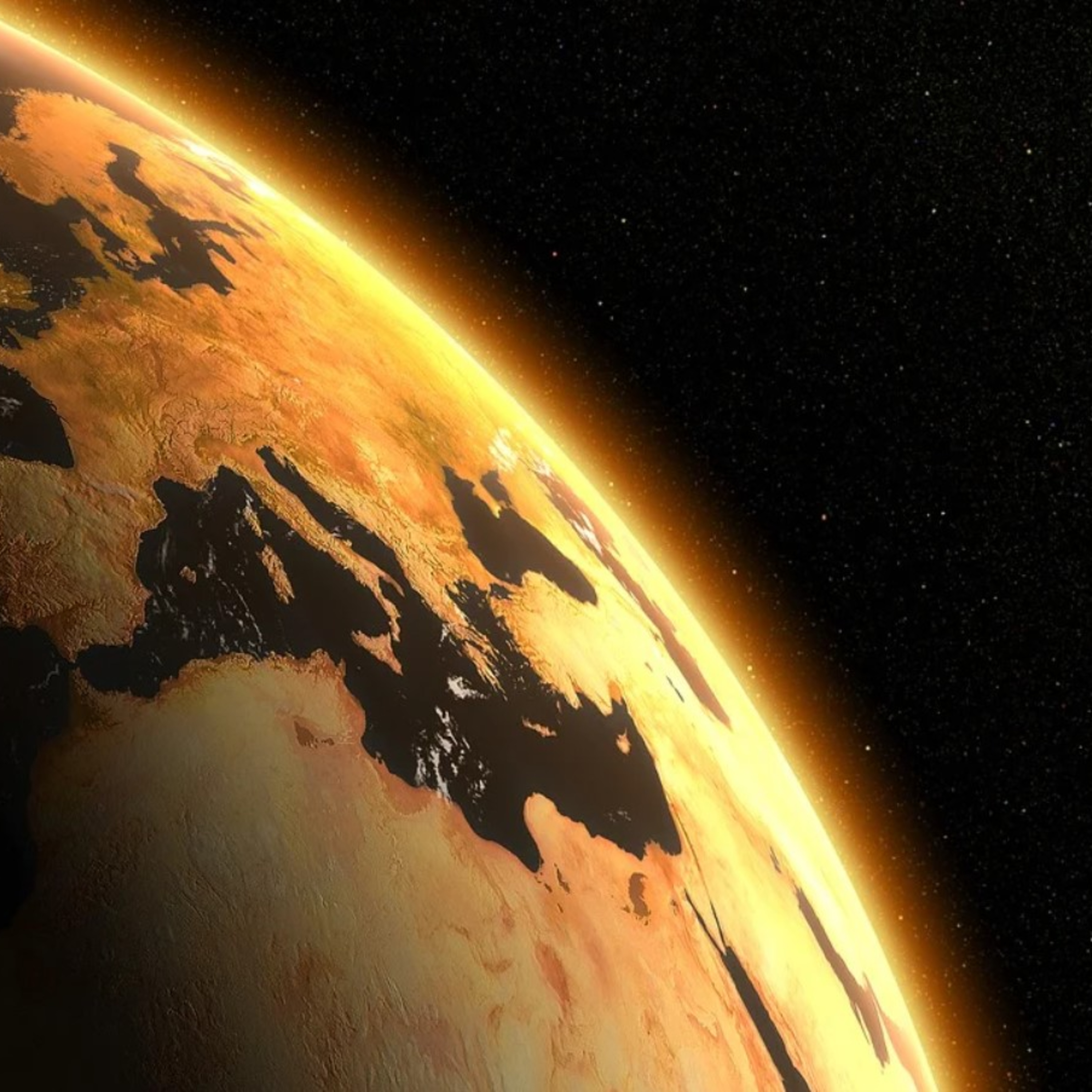 Barbas do Conhecimento