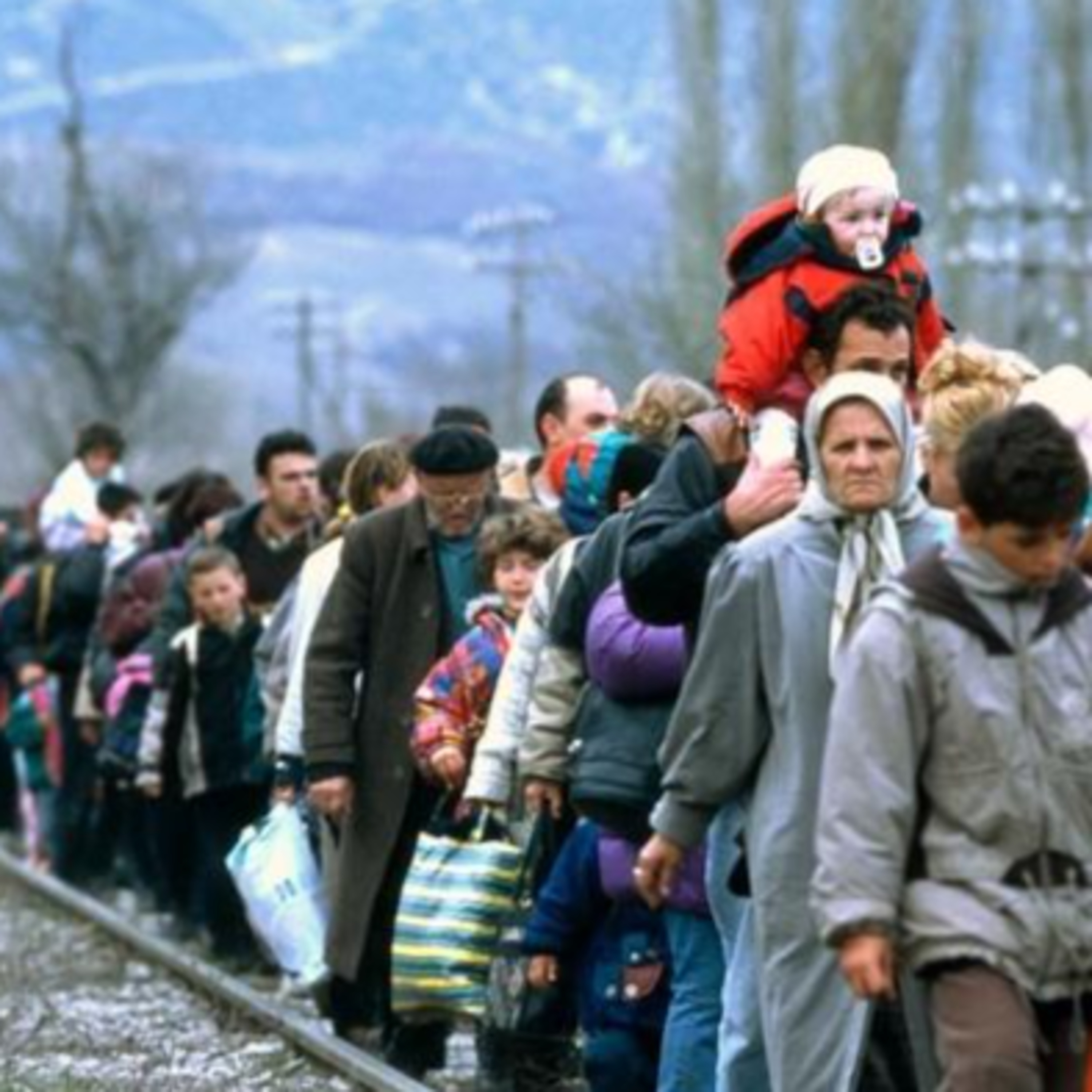 Barbas do Conhecimento