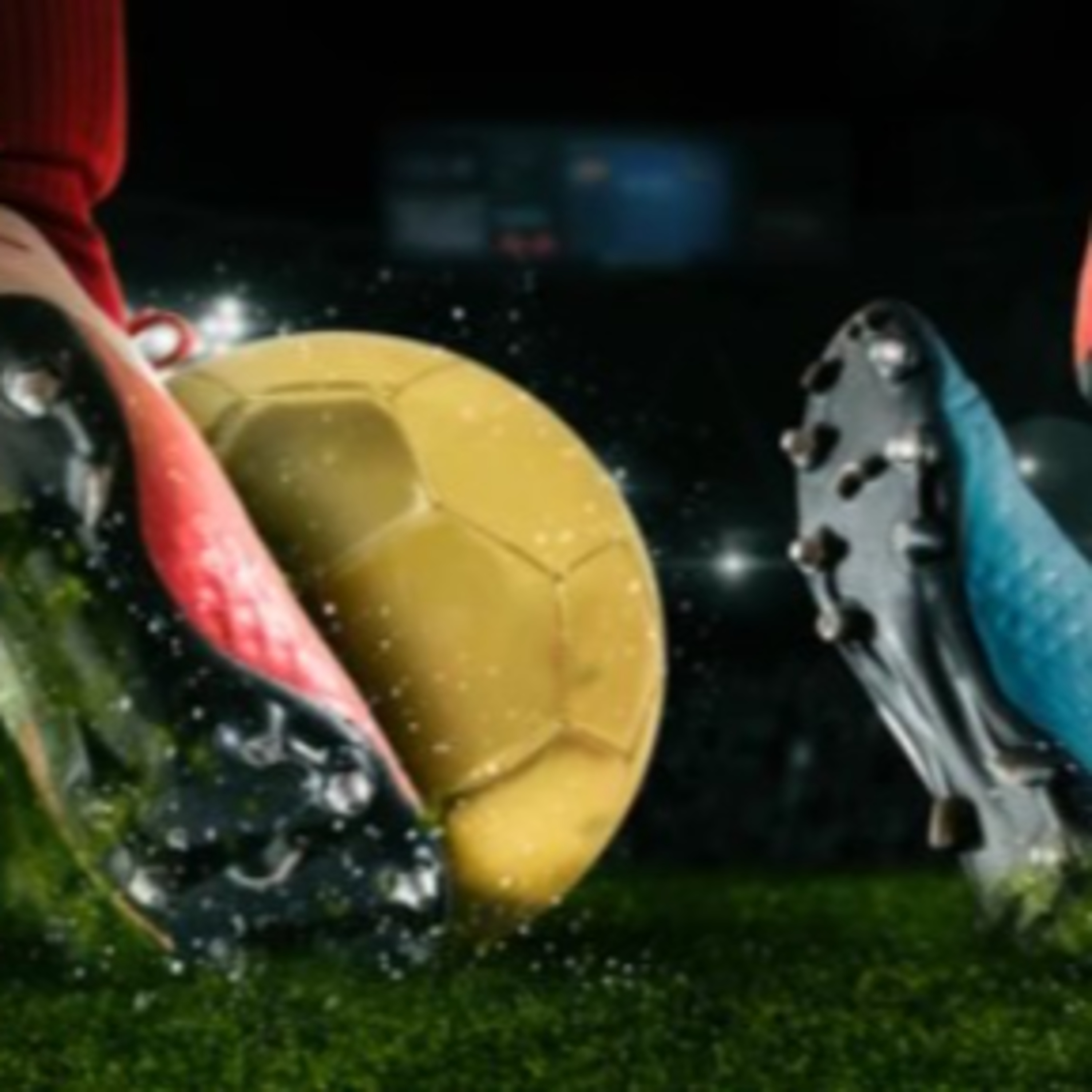 Barbas do Conhecimento