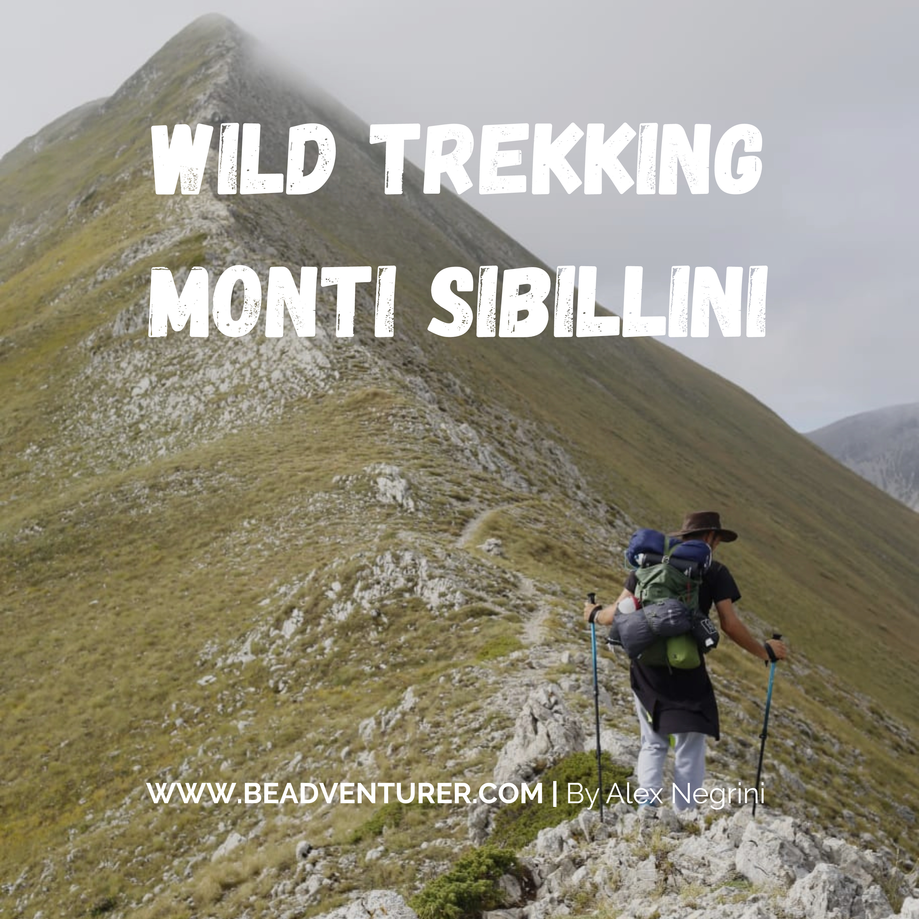 Emozioni in viaggio