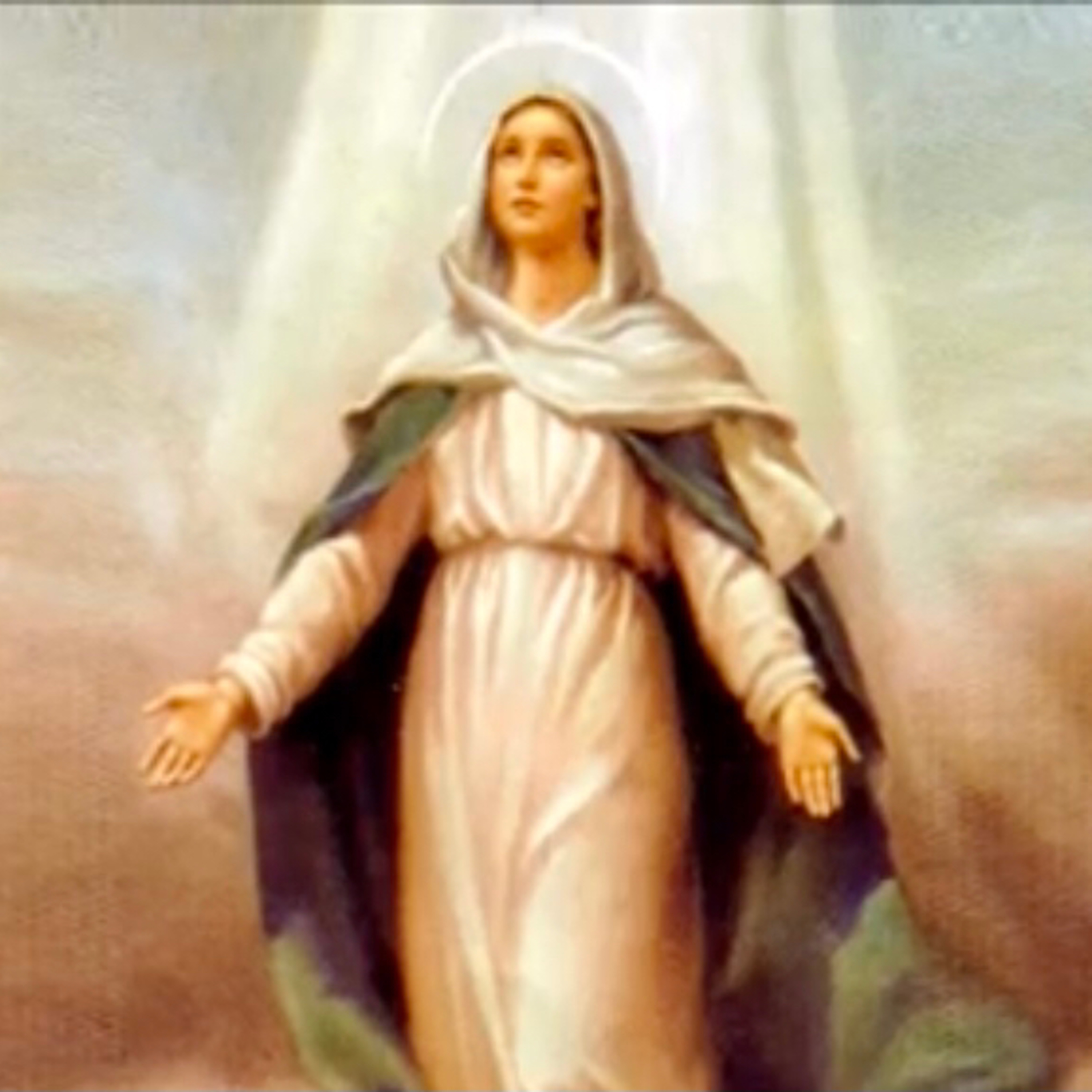 Cinco minutos com Maria Santíssima 🌹