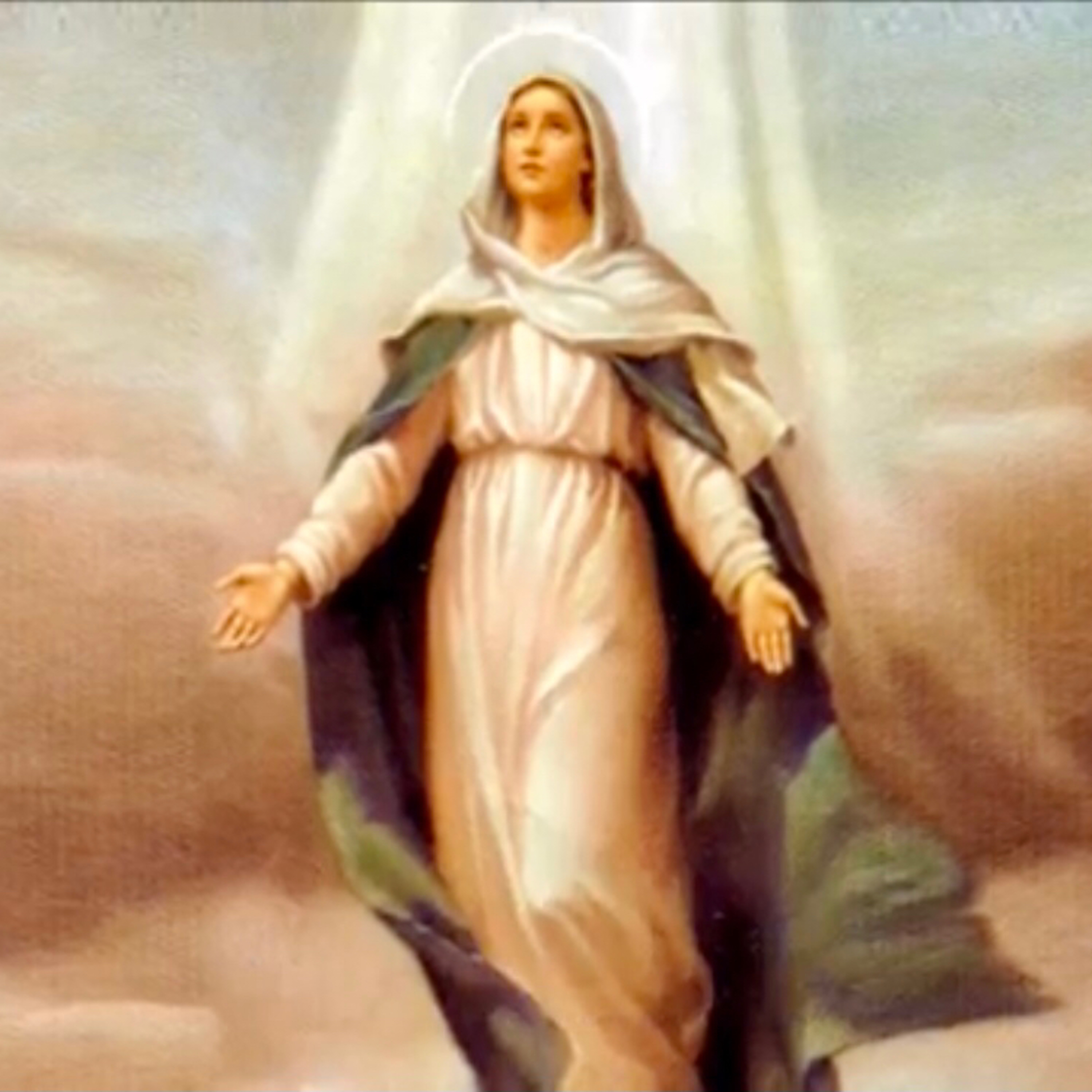 Cinco minutos com Maria Santíssima 🌹