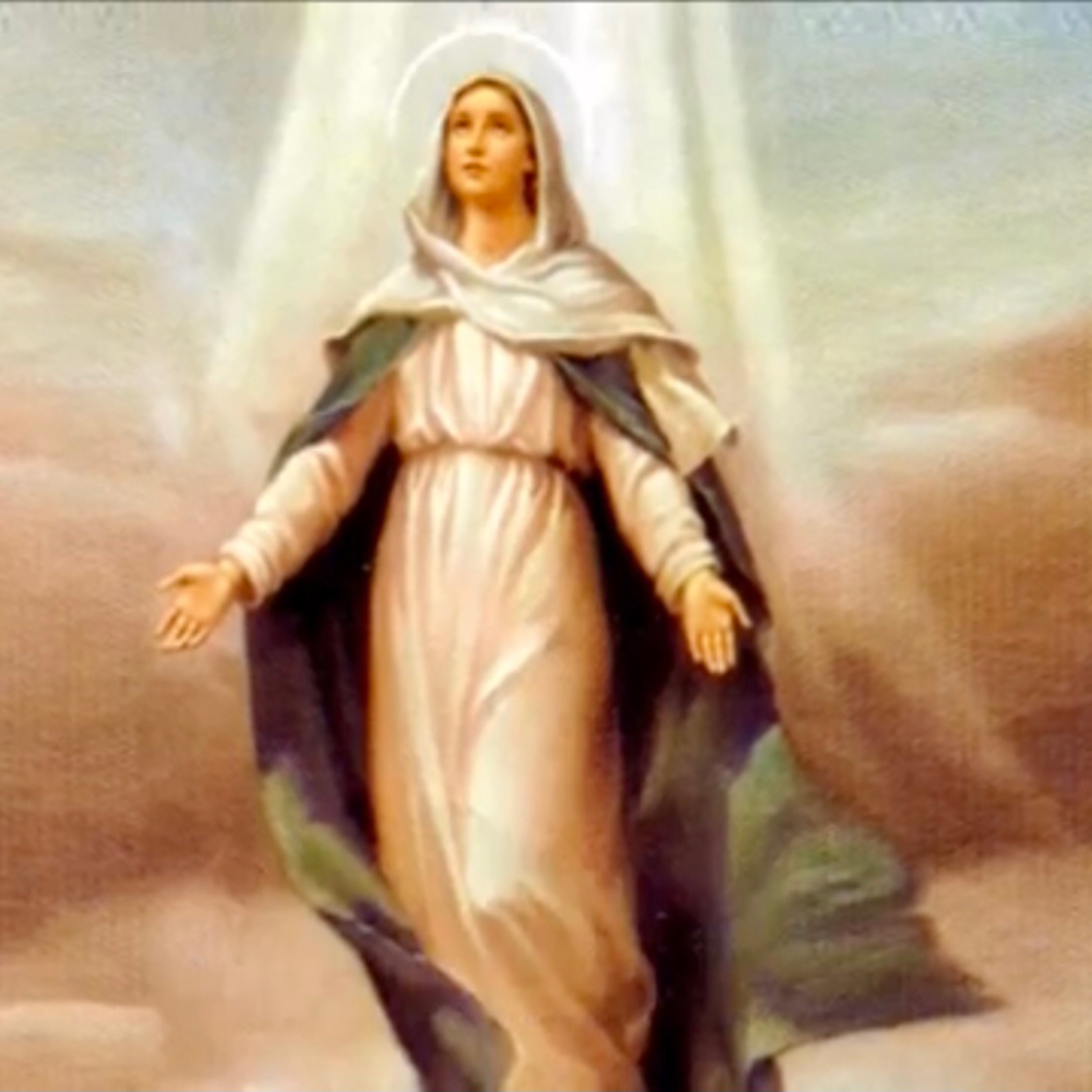 Cinco minutos com Maria Santíssima 🌹