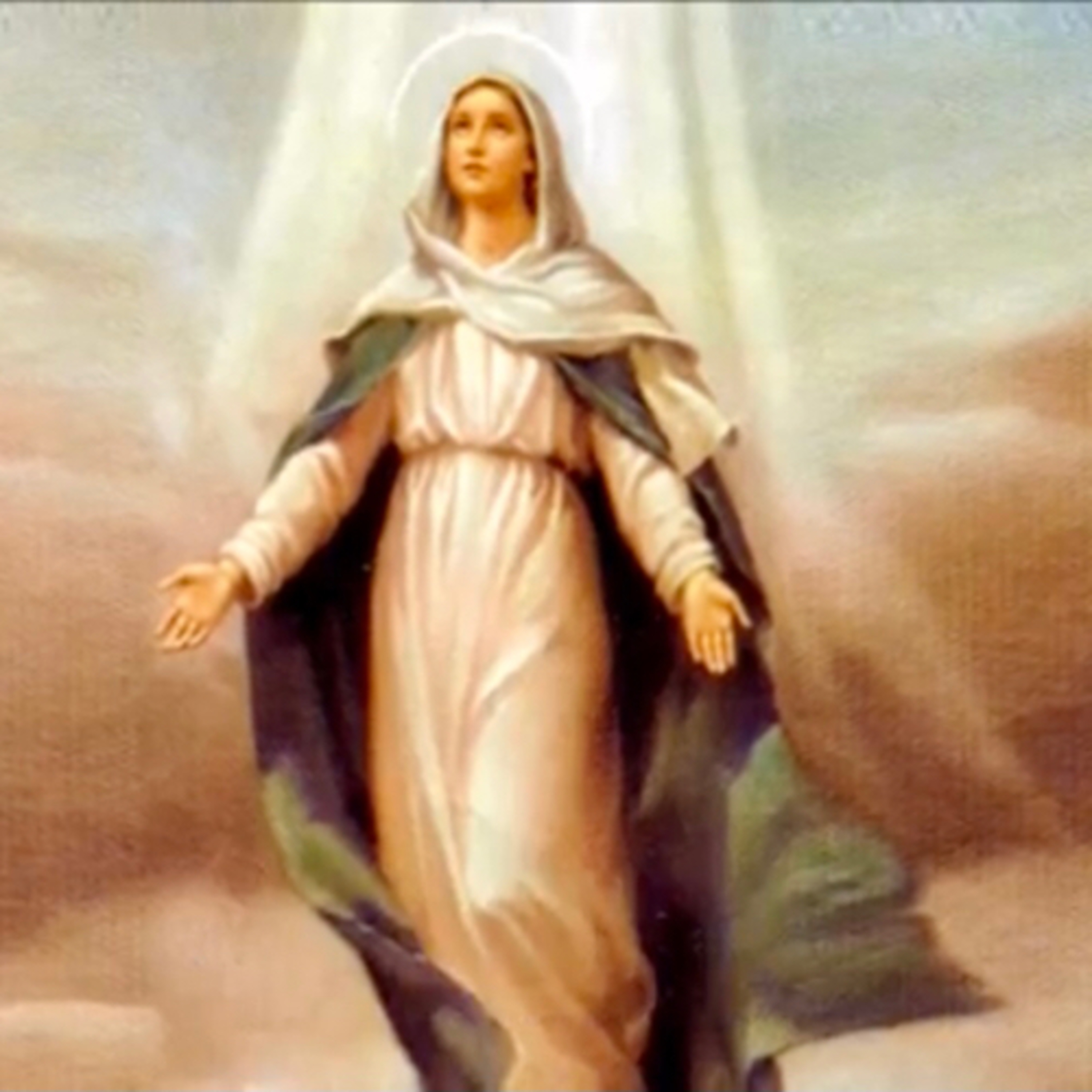 Cinco minutos com Maria Santíssima 🌹