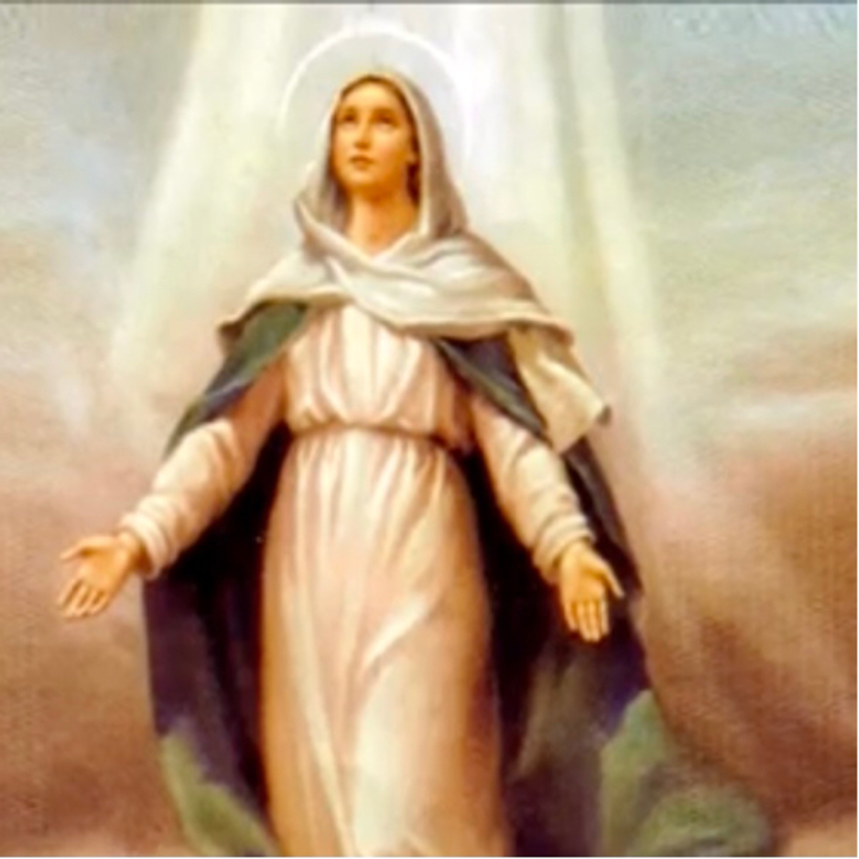 Cinco minutos com Maria Santíssima 🌹